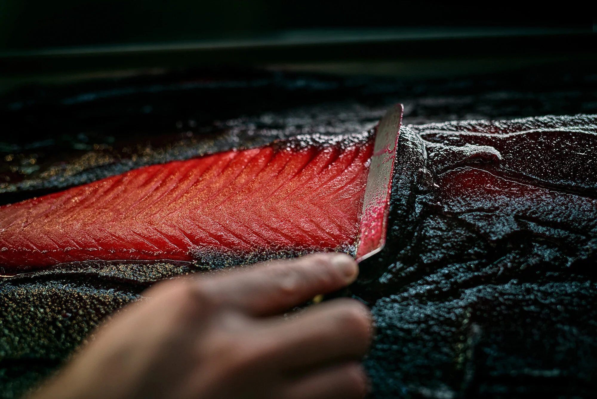 2017_Food_SalmonCarpassionStill.jpg