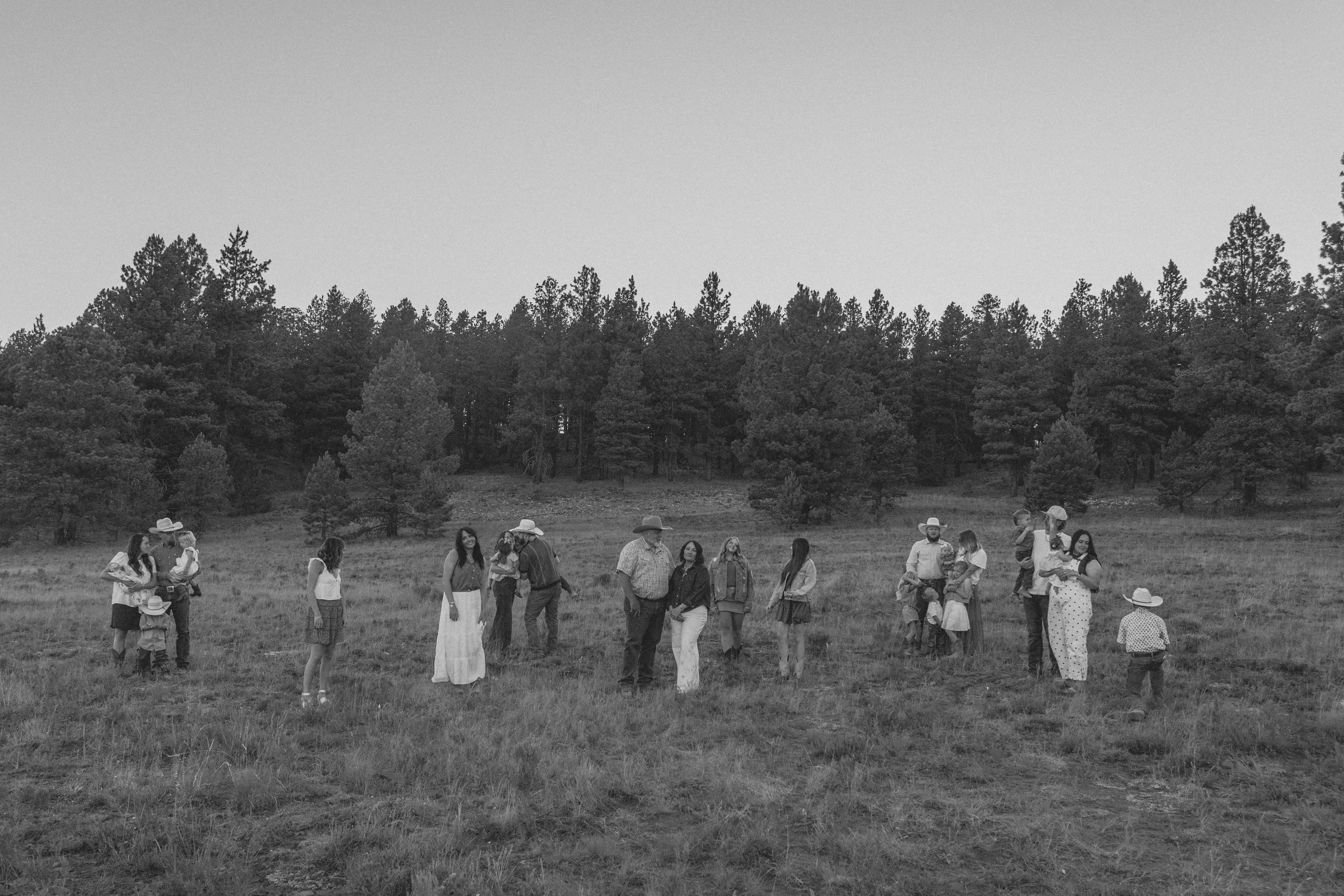 DSC06481-2.jpg