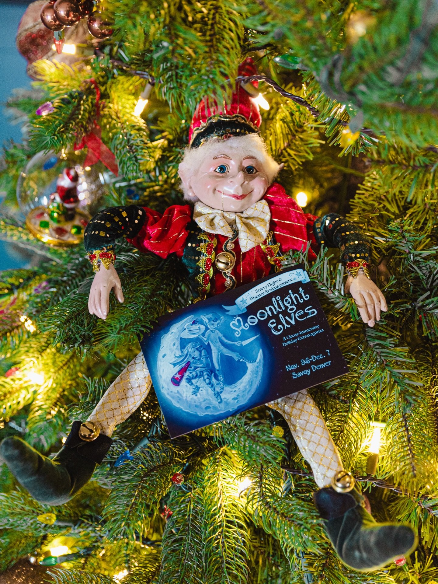 The elves have arrived&hellip; and the spirited rivalry begins. ❄️✨

Step into Moonlight Elves, a circus-immersive holiday world filled with magic, mayhem, and unforgettable performances.

The season&rsquo;s most magical holiday experience has arrive