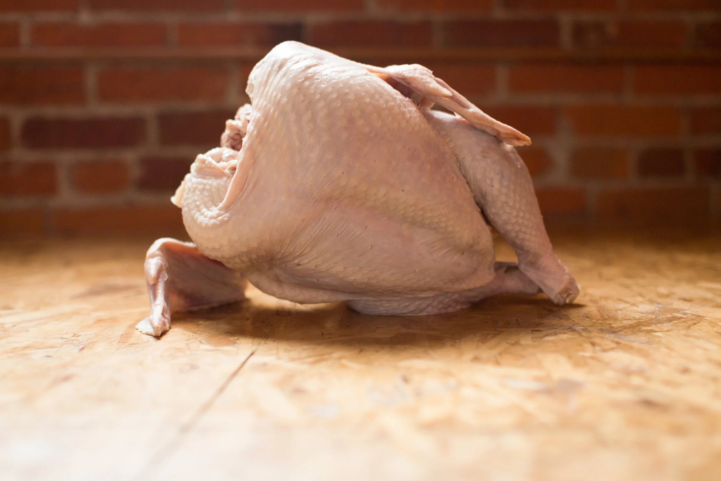 Interesting Facts to Share With Your Kids About Thanksgiving