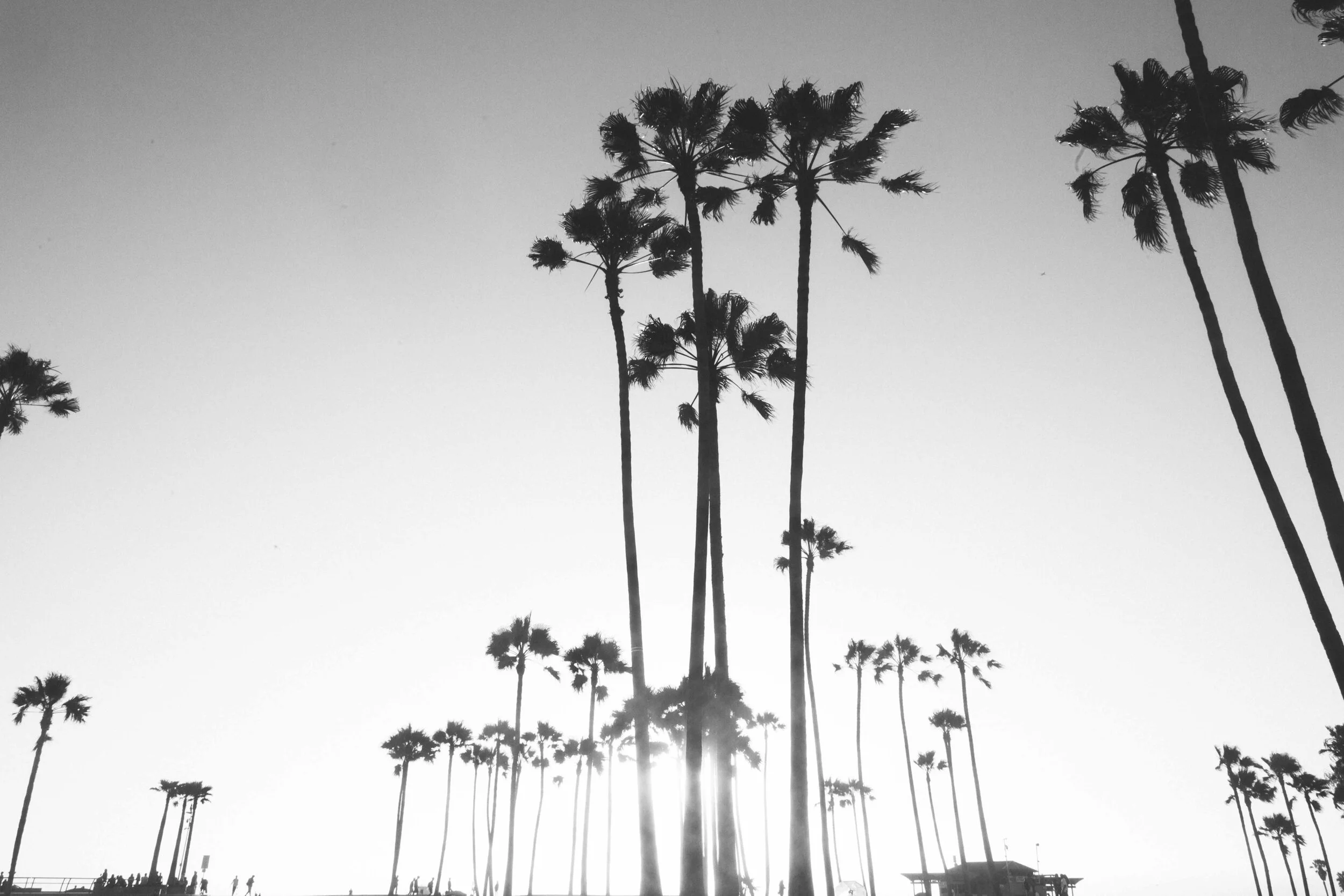 VENICEBEACH.jpg