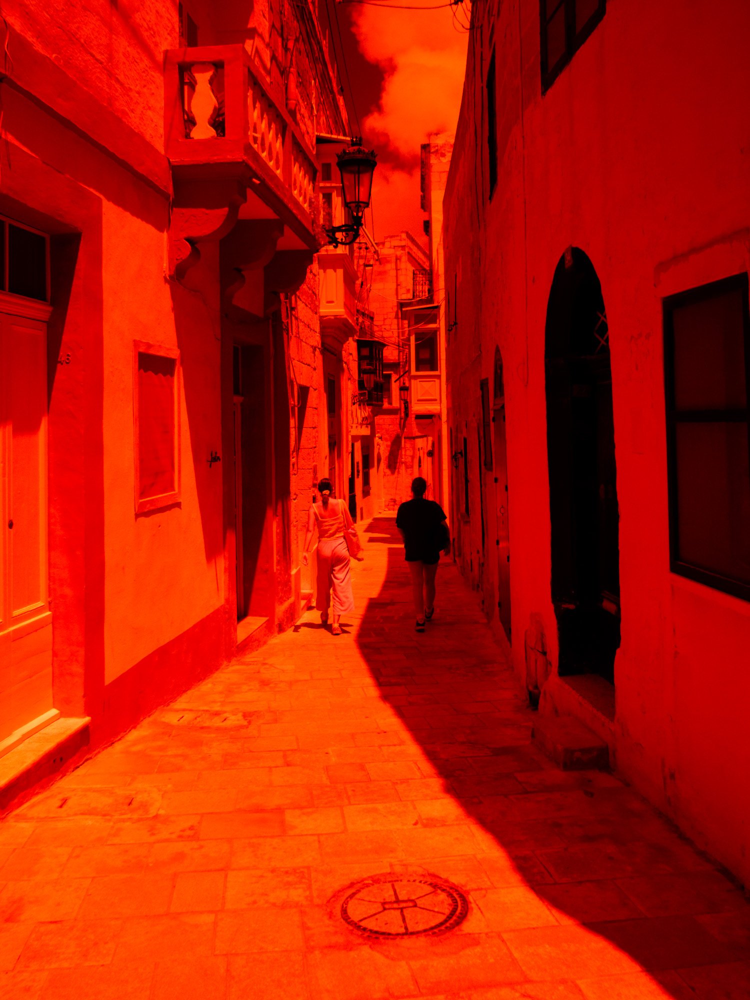 P1010243.jpg
