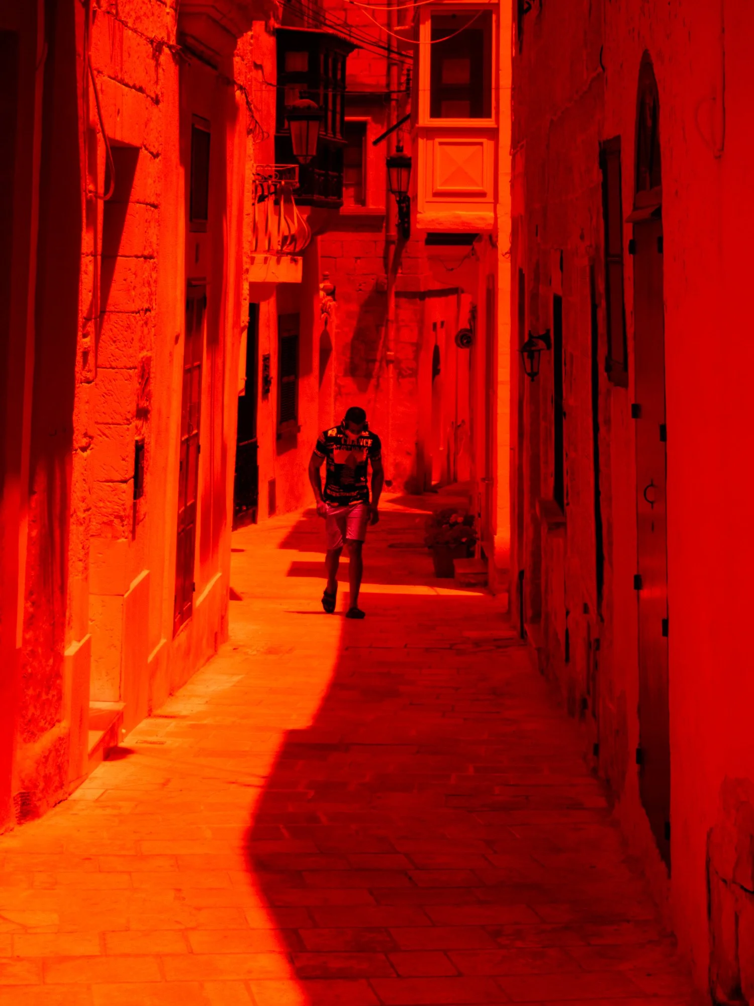 P1010250.jpg