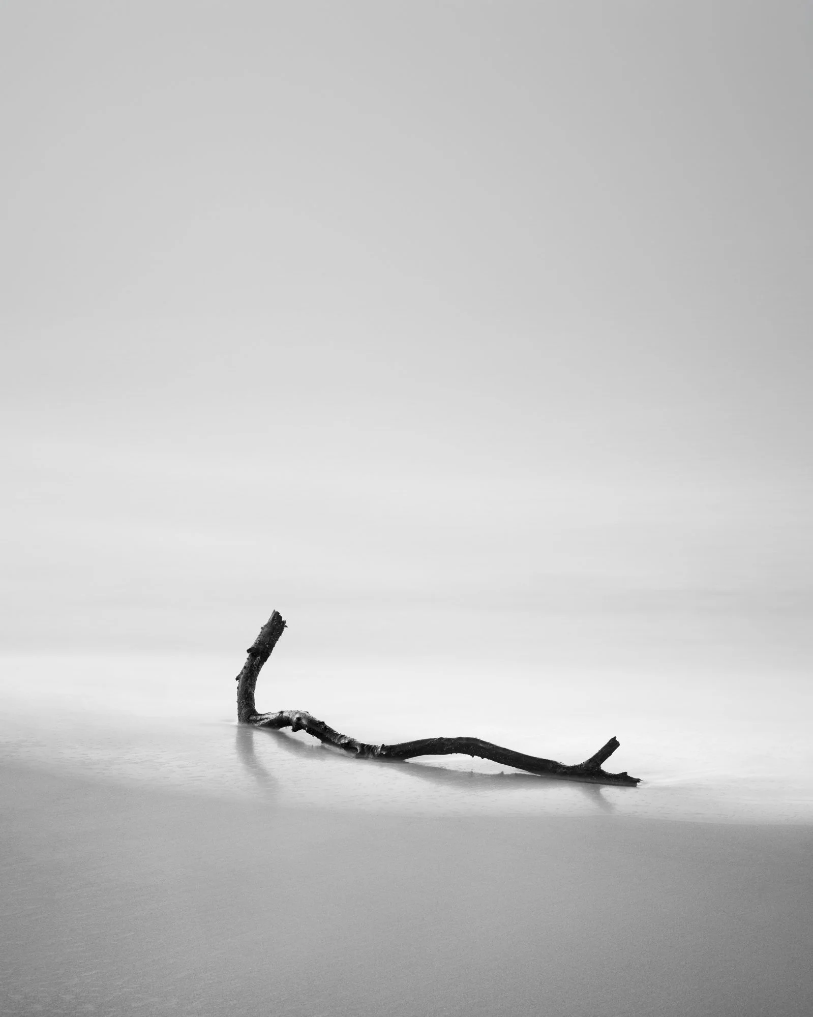 The Castaway.jpg