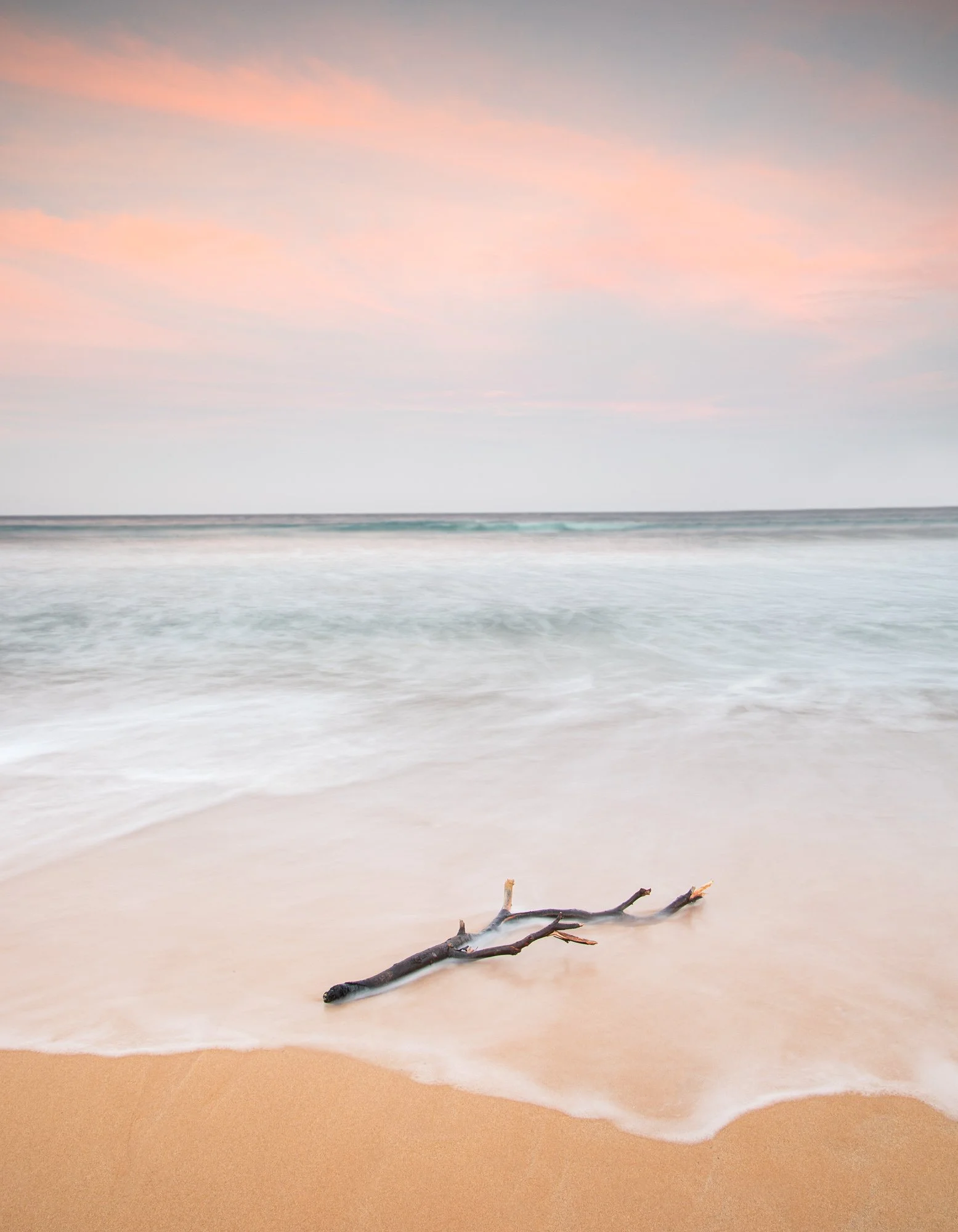 Driftwood Dreams.jpg