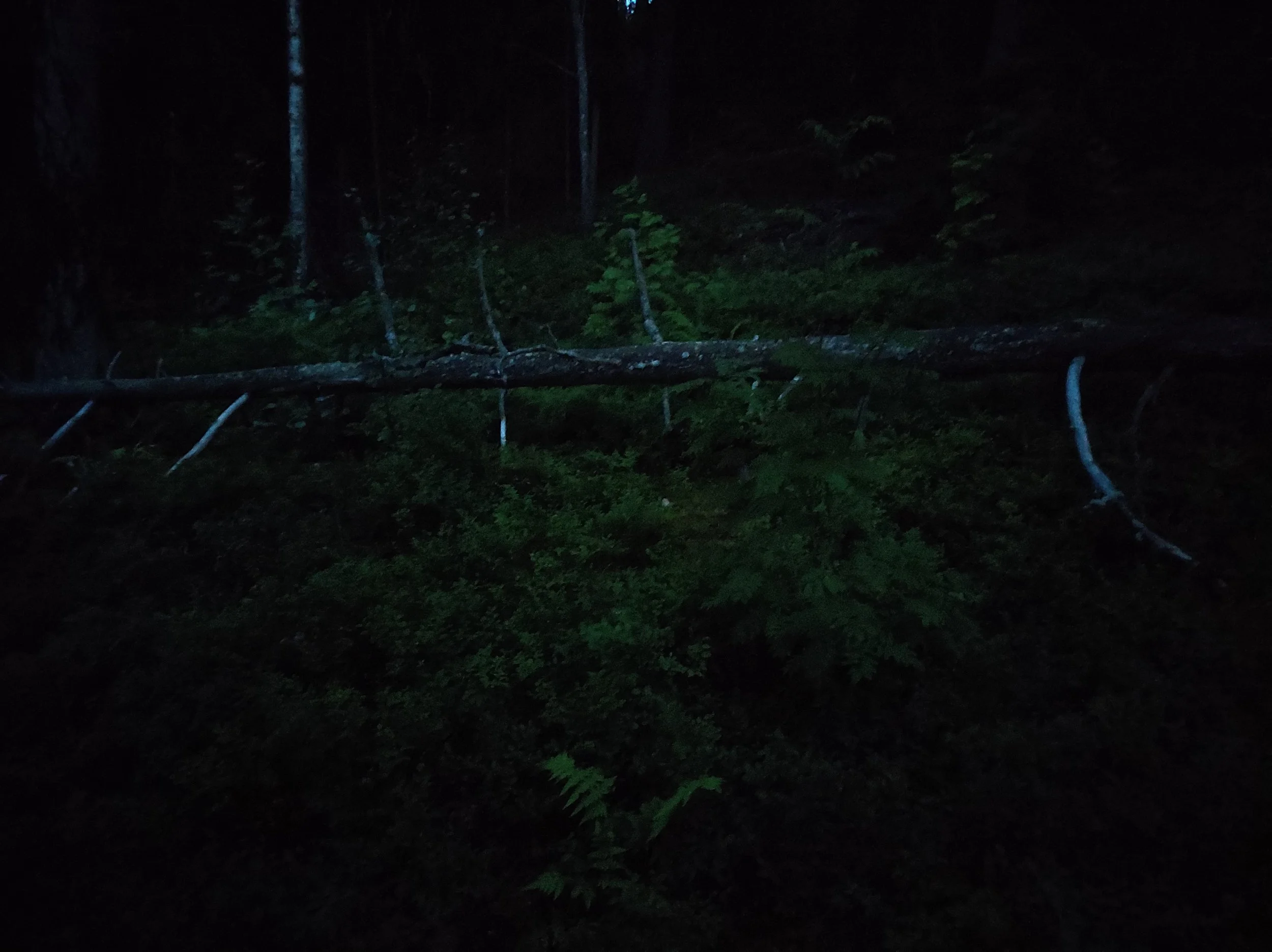 Alkemistien yö (2025)