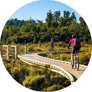 Why not cycle the Wilderness trail and relax at the end of the day in luxury at Rimu lodge Hokitika
#RimuLodgeHokitika 
.
.
.
.
.
#boutiquelodge #luxurylodge #bedandbreakfast #5staraccommodation  #nz #luxurylodgesnz #luxury #kiaoranz #nzmustdo #dosom