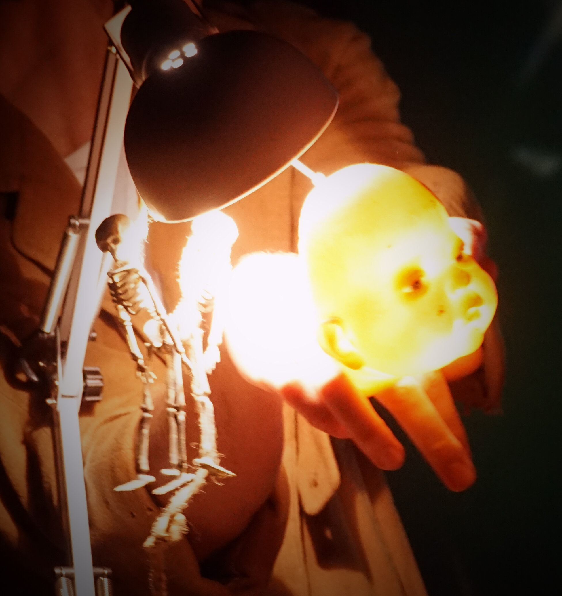 doll head 2.jpg