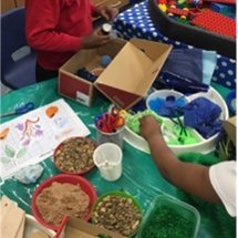 Making a Home for Bog Baby