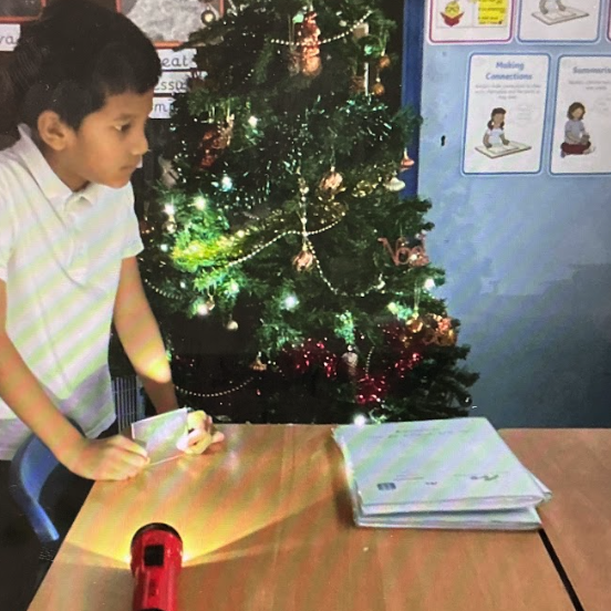 Photos, Engines, Flora