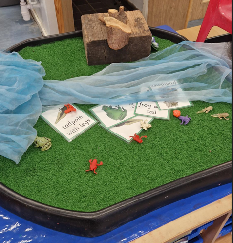 Cross-Curricular Geography — Morden Mount Primary School