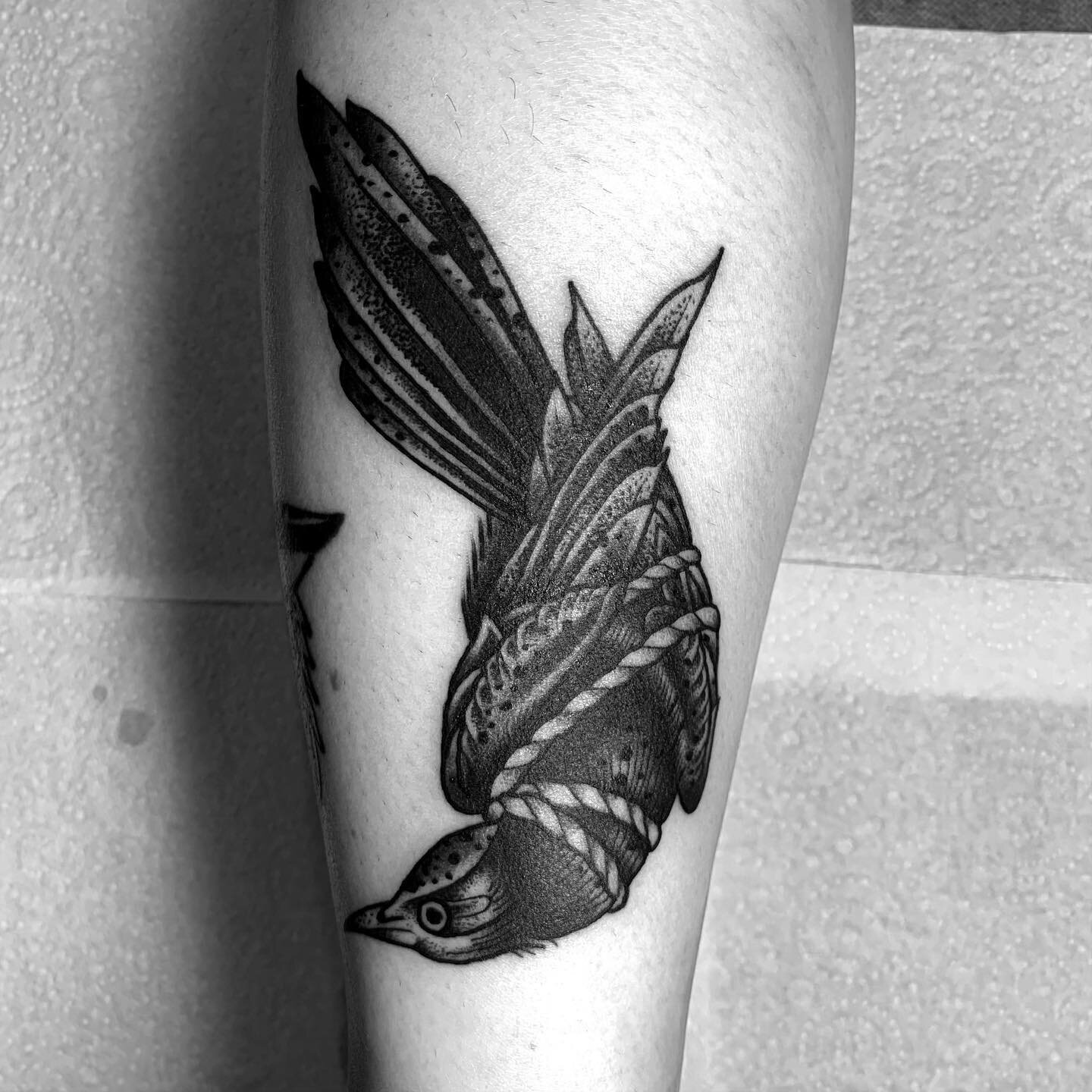 Tied down bird from flash for @tamia.jeffs -thanks so much for picking this one! 
Please DM me or you can contact @highhopestattooaus for bookings. 
&bull;
&bull;
&bull;
&bull;
#flash #flashpage #flashpages #tattoo #tattoos #black #blacktattoo #black