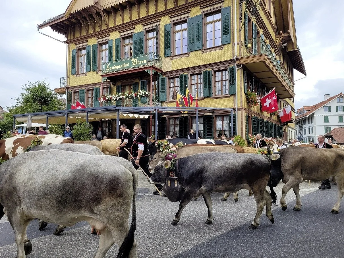 Alpabfahrt Sumiswald