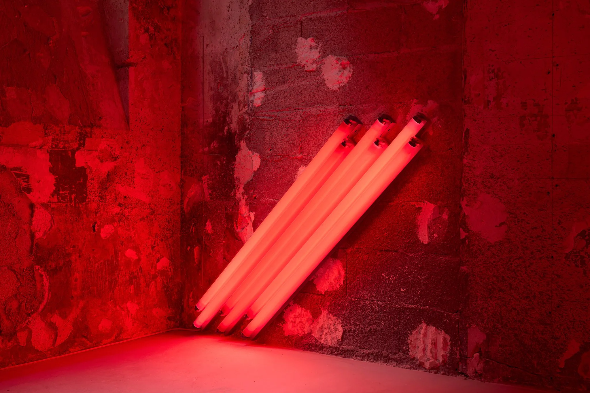 Dan Flavin at Peter Freeman