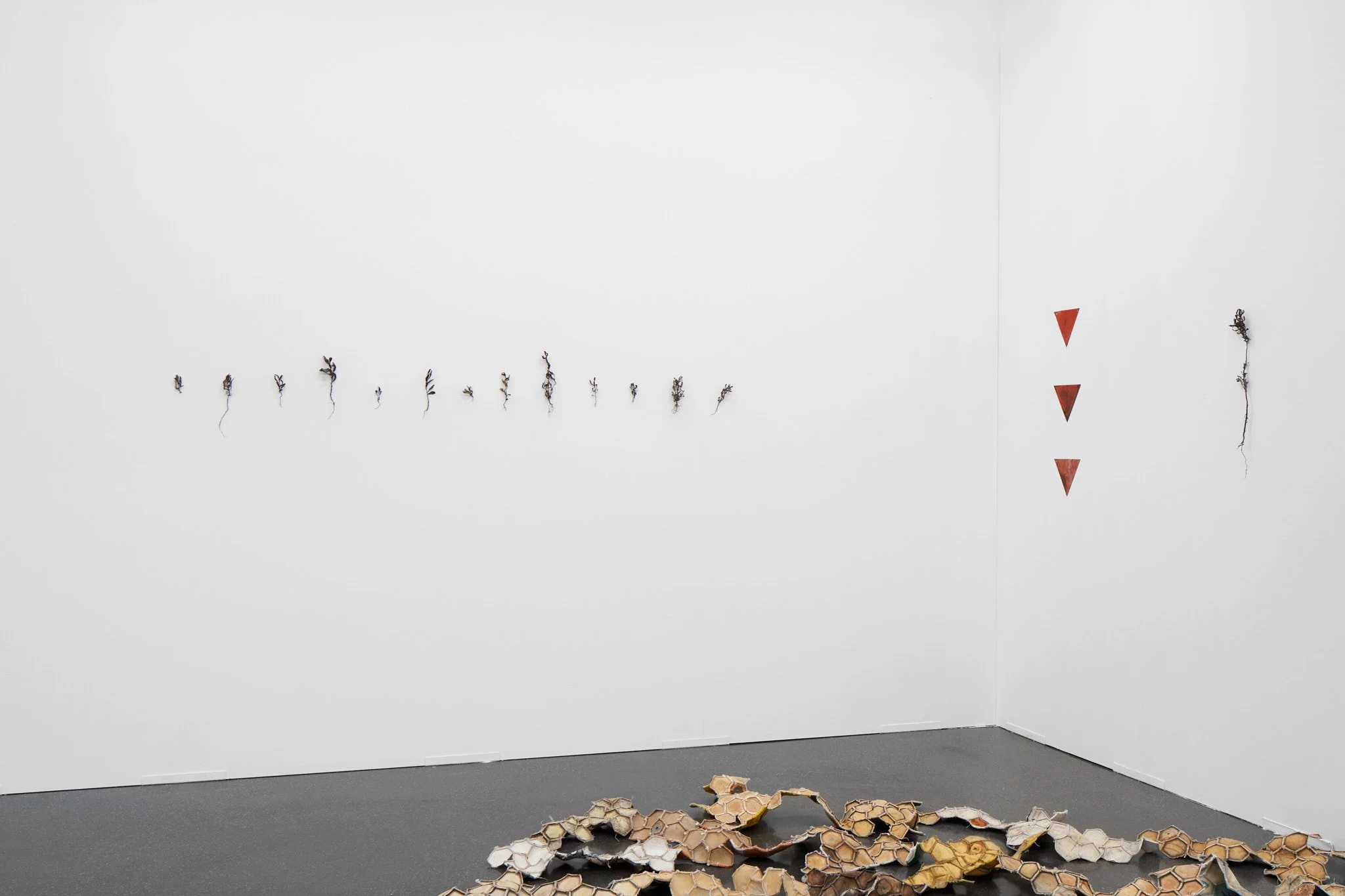 Alexander Levy at Art Düsseldorf