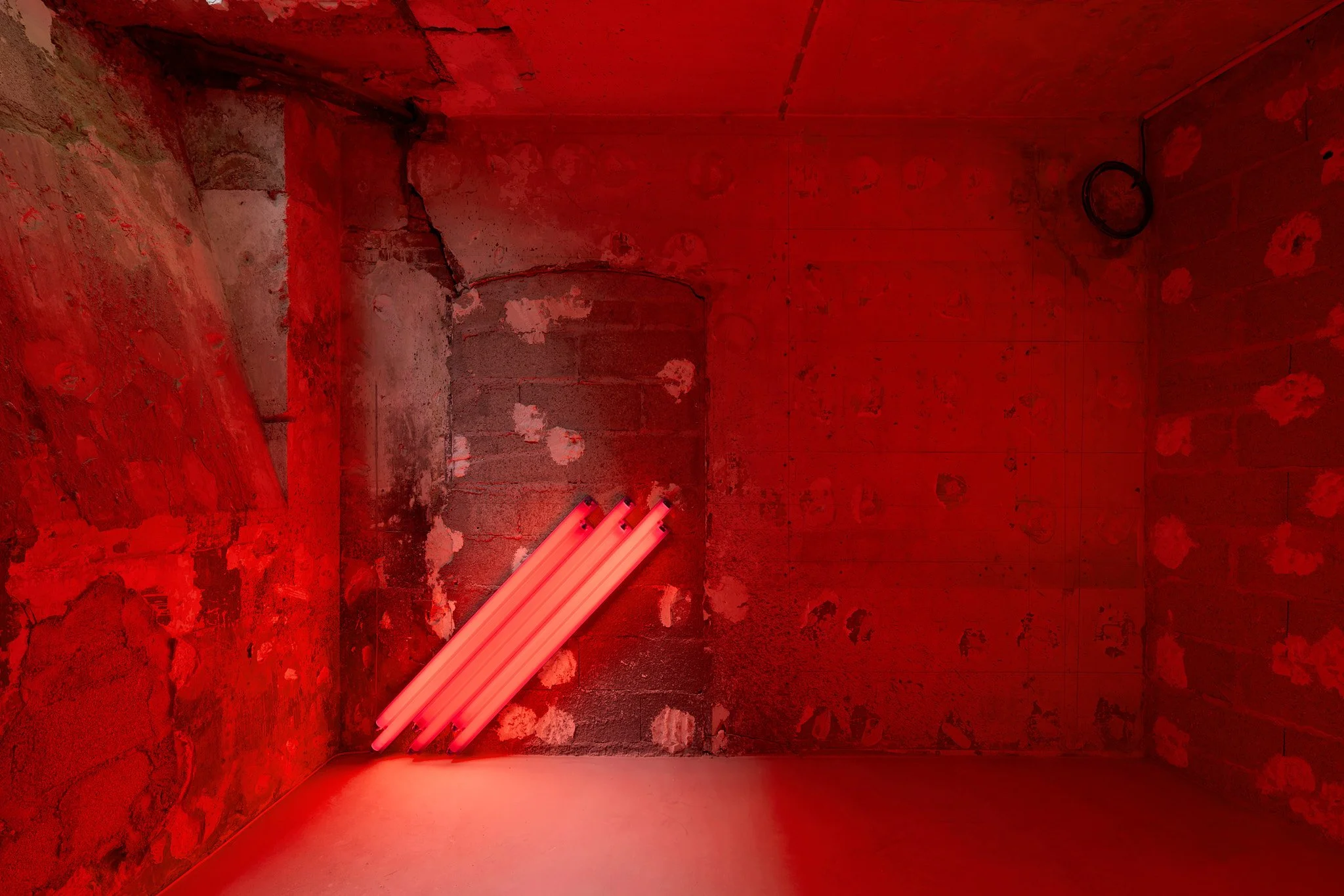 Dan Flavin at Peter Freeman