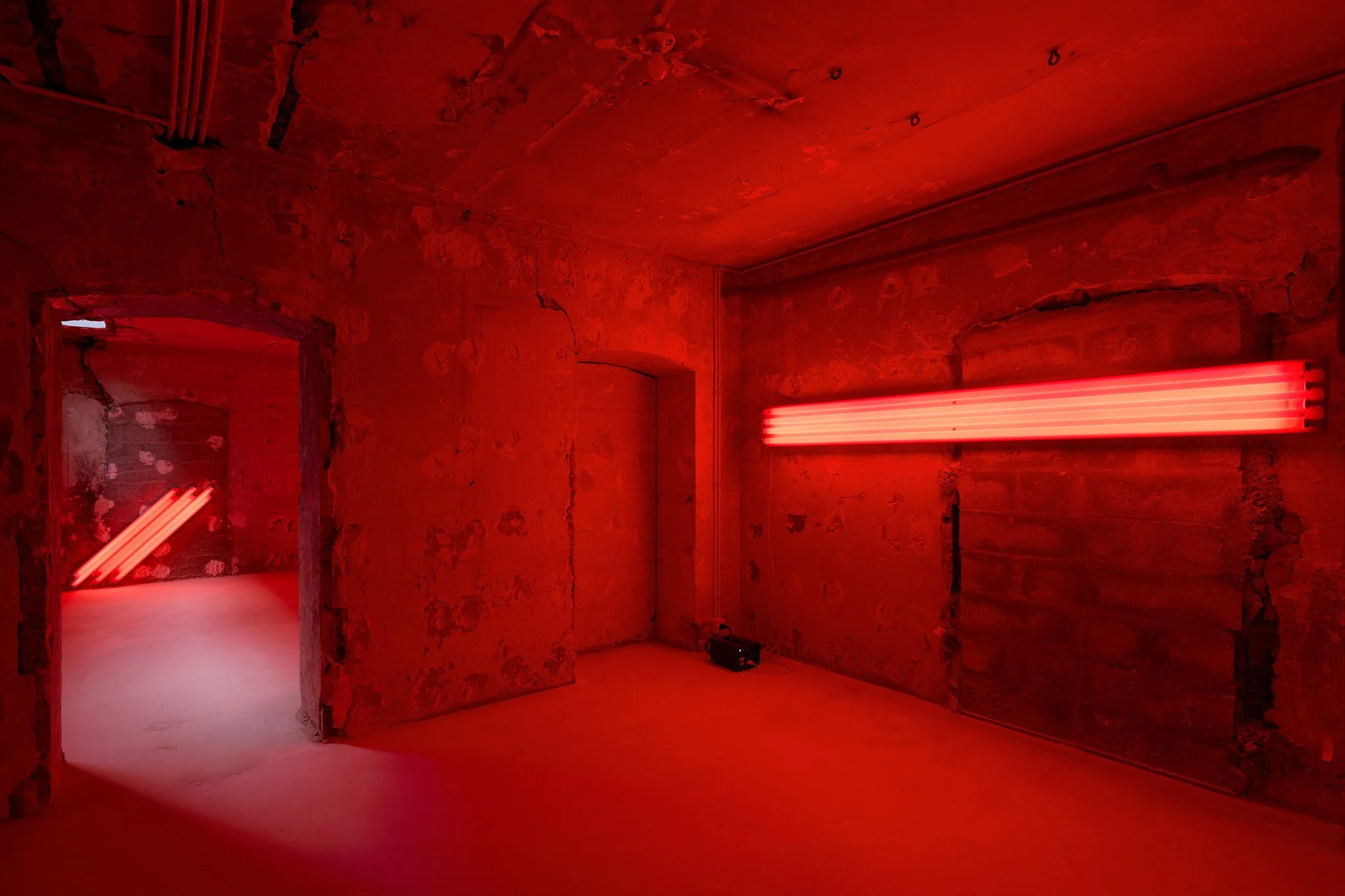 Dan Flavin at Peter Freeman