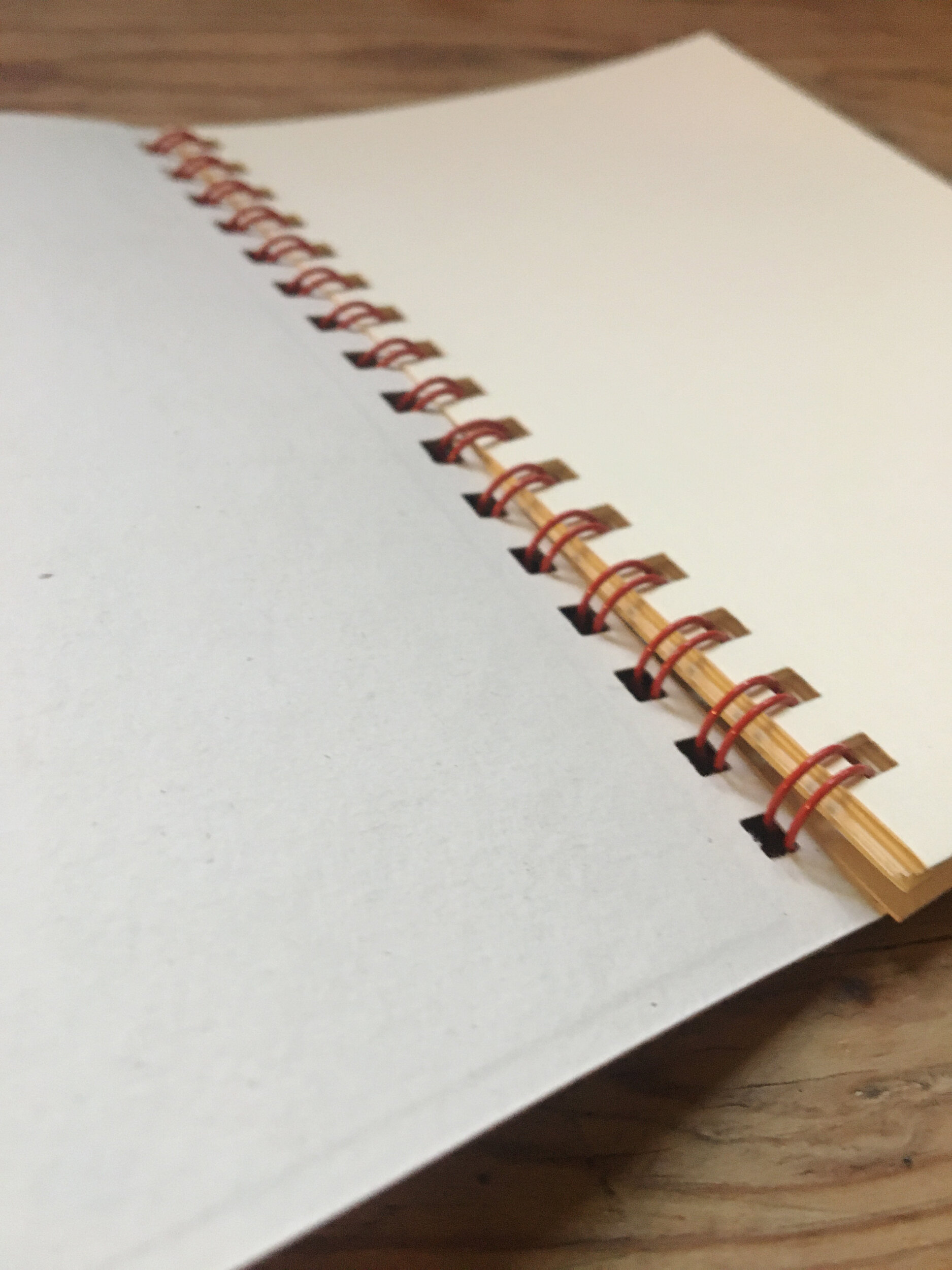 nebula_notebook2.jpg