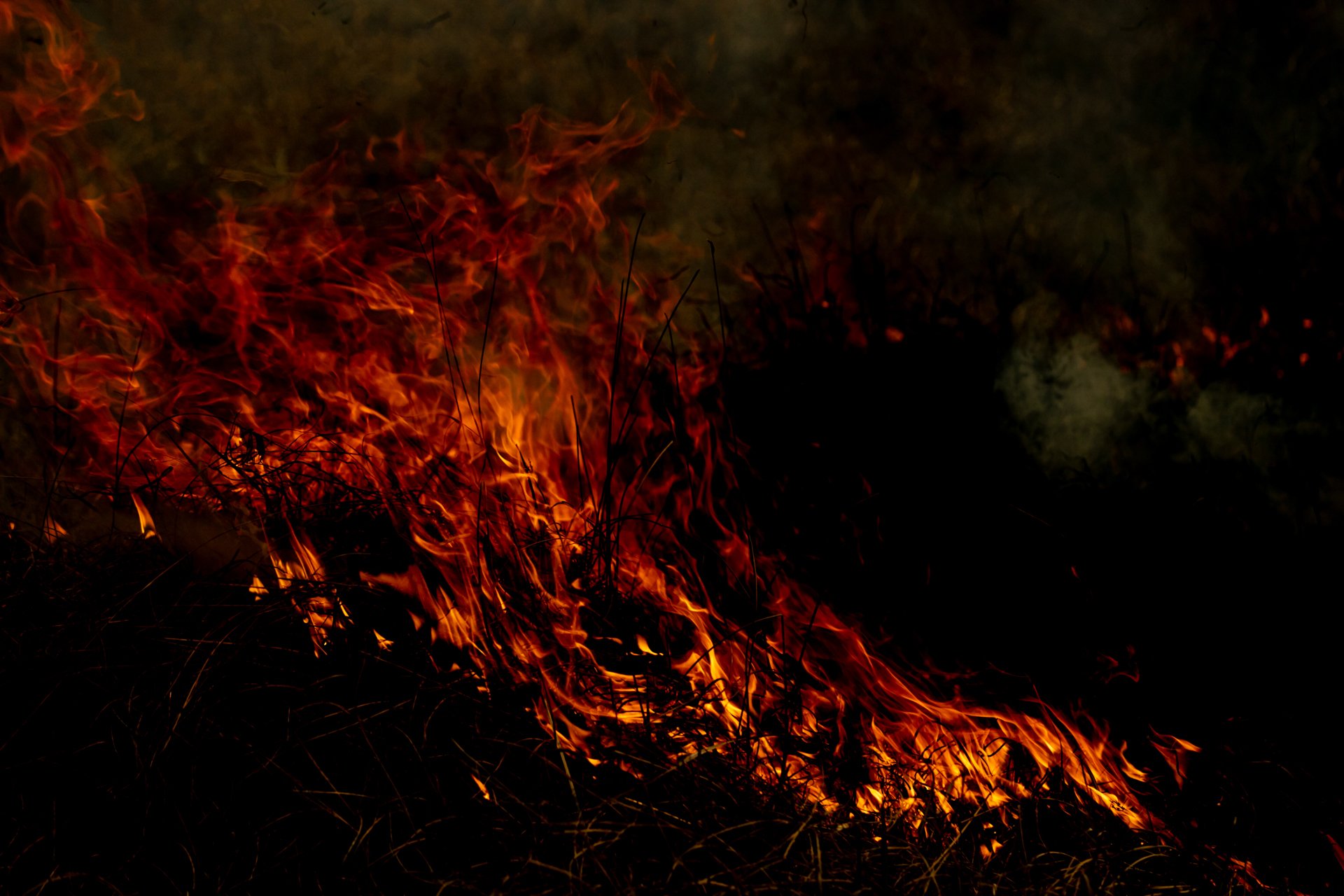 Fire Scars_Renae Saxby Exhibition-1281.jpg