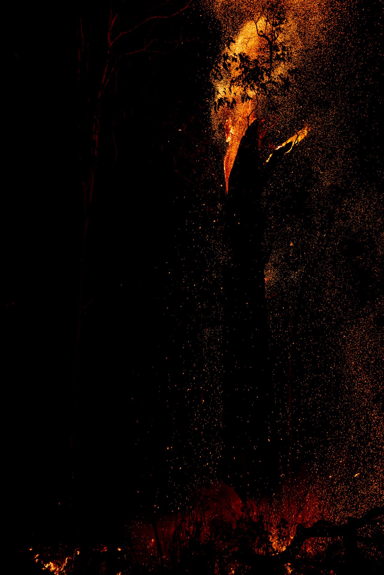 Fire on the Land, Scars in my Head-Renae Saxby.jpg