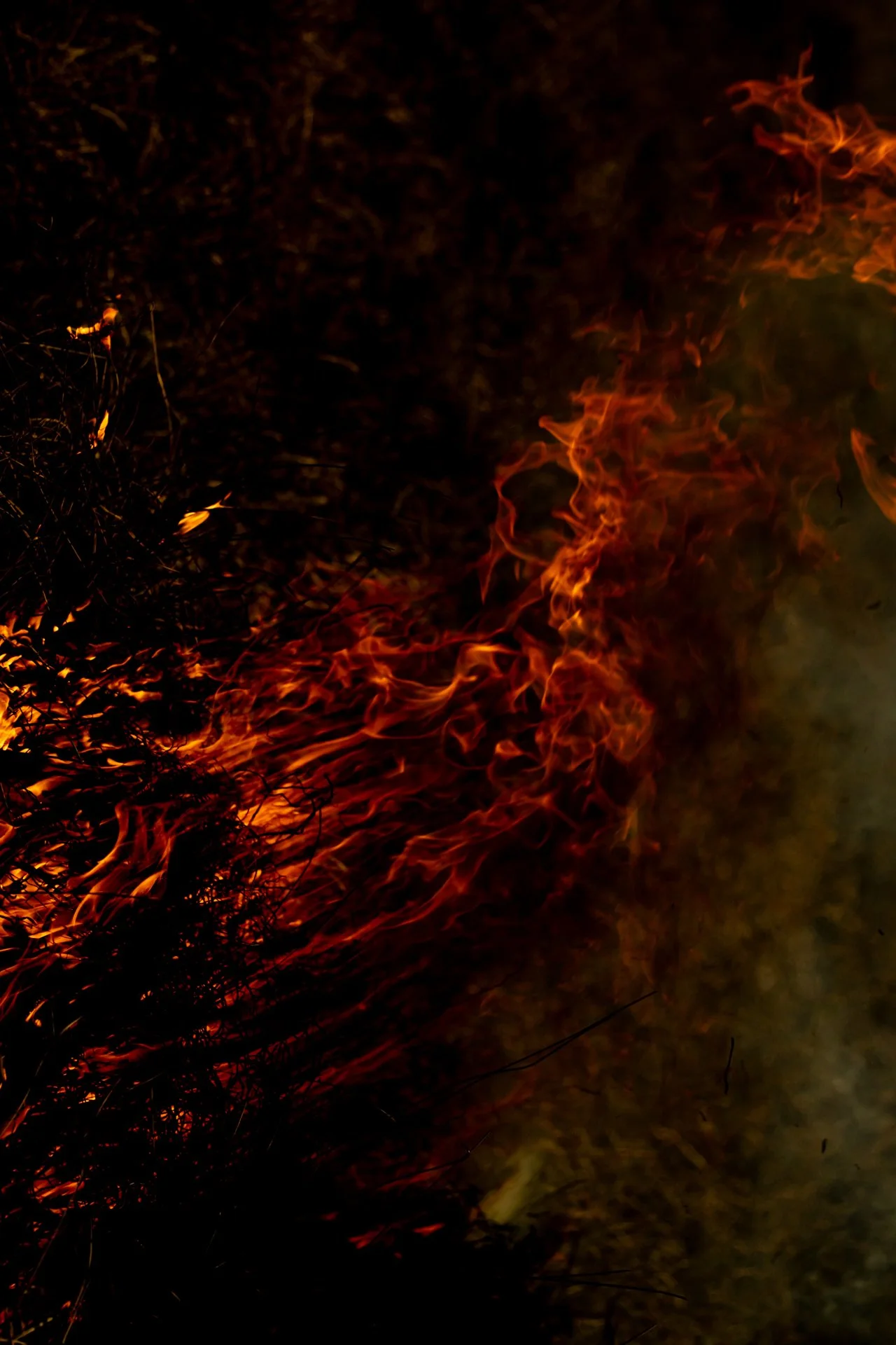 Fire Scars_Renae Saxby Exhibition-1289.jpg