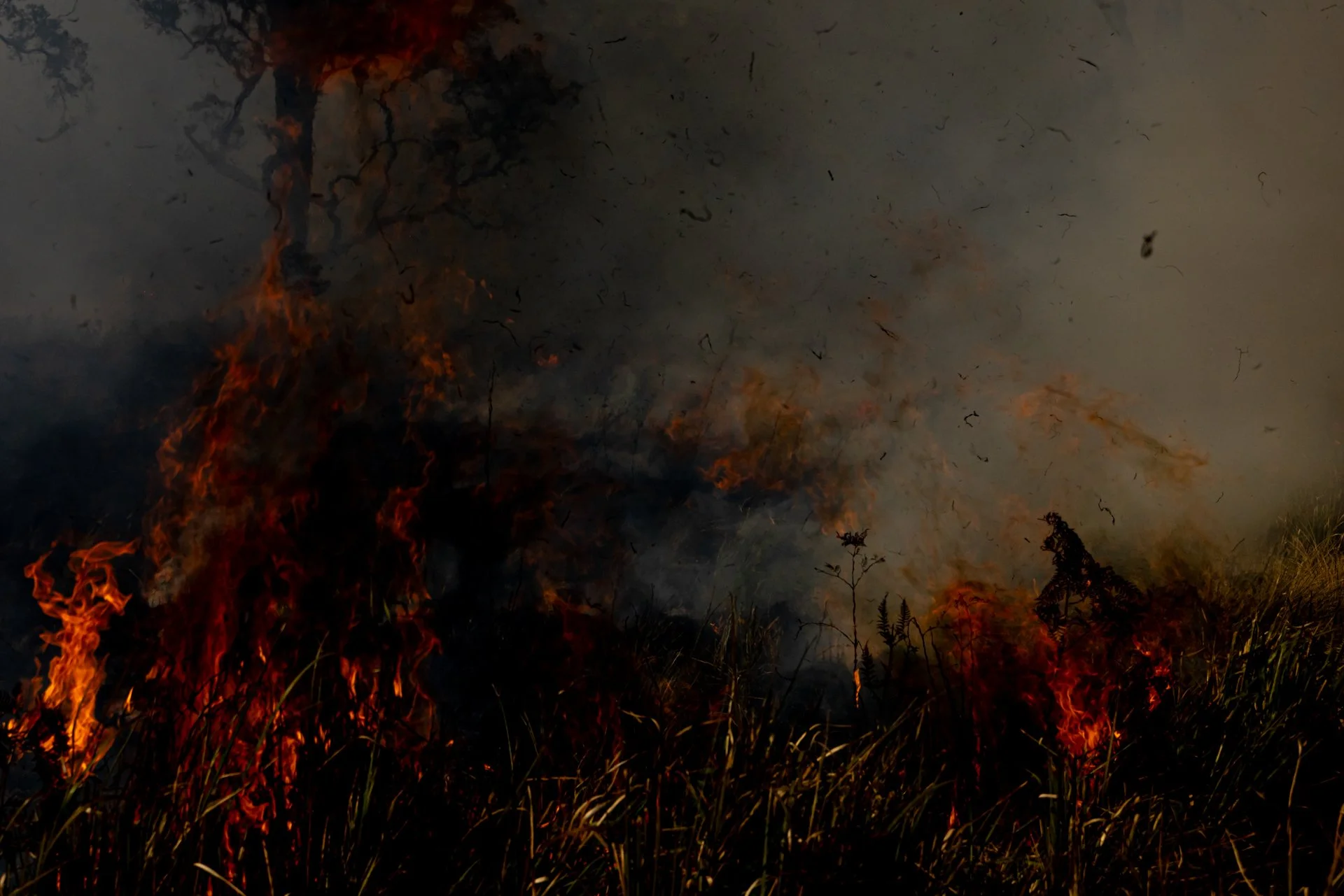 Fire Scars_Renae Saxby Exhibition-1105-2.jpg