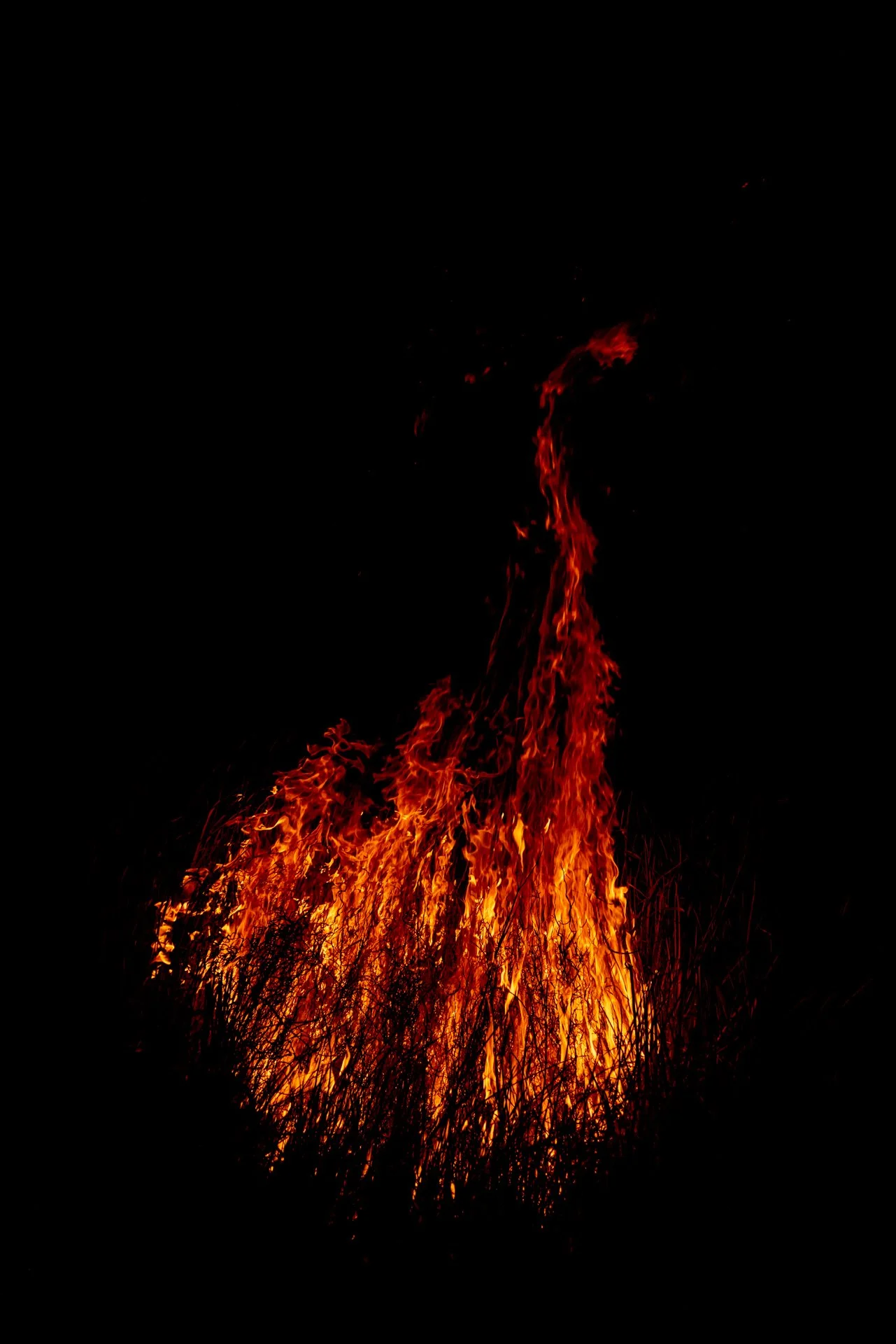 Fire Scars_Renae Saxby Exhibition-1893-2.jpg