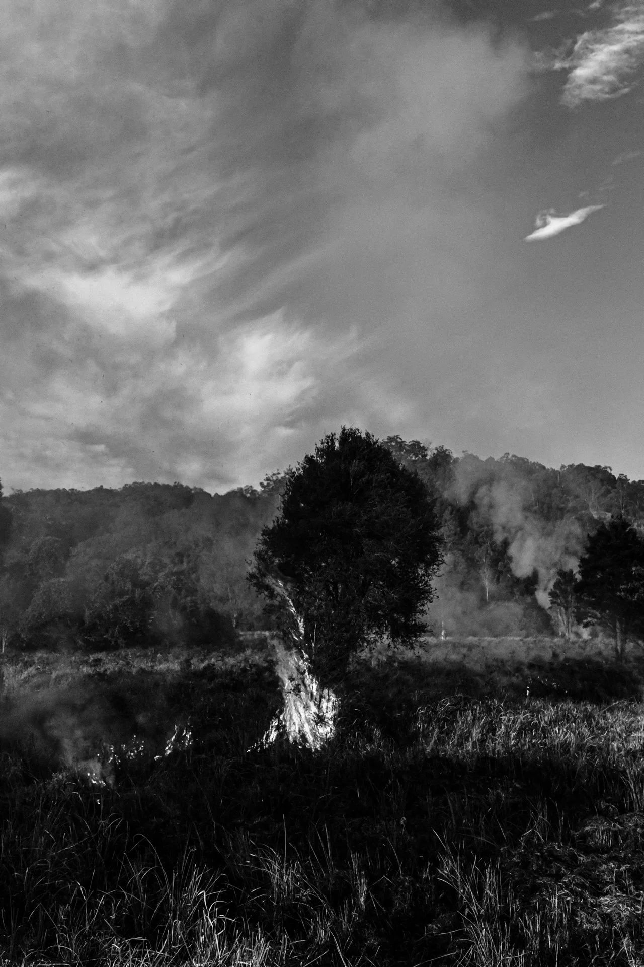 Fire Scars_Renae Saxby Exhibition-1468.jpg