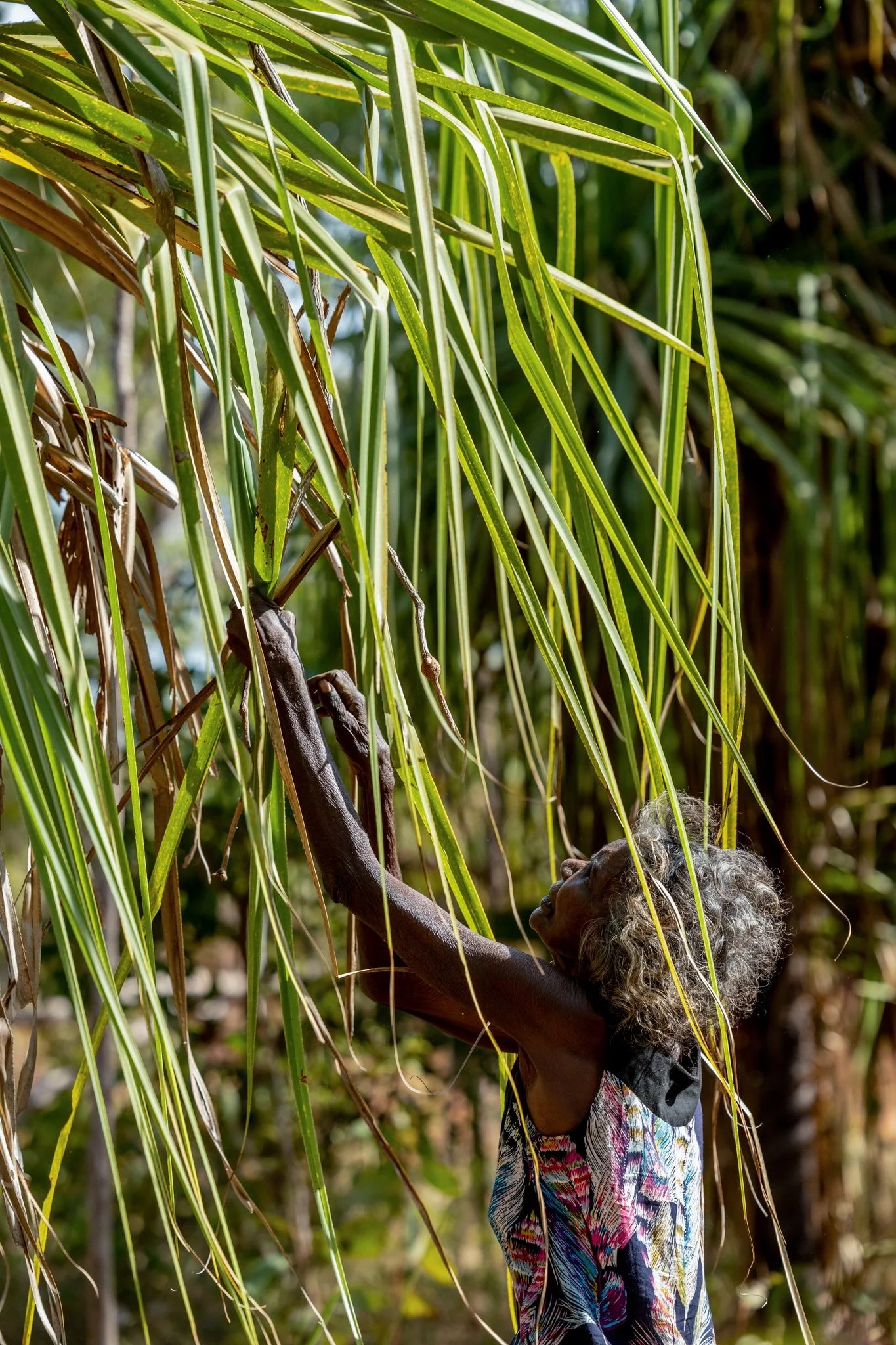 NGV_RENAE SAXBY IMAGES_RAMINGINING_3.jpg