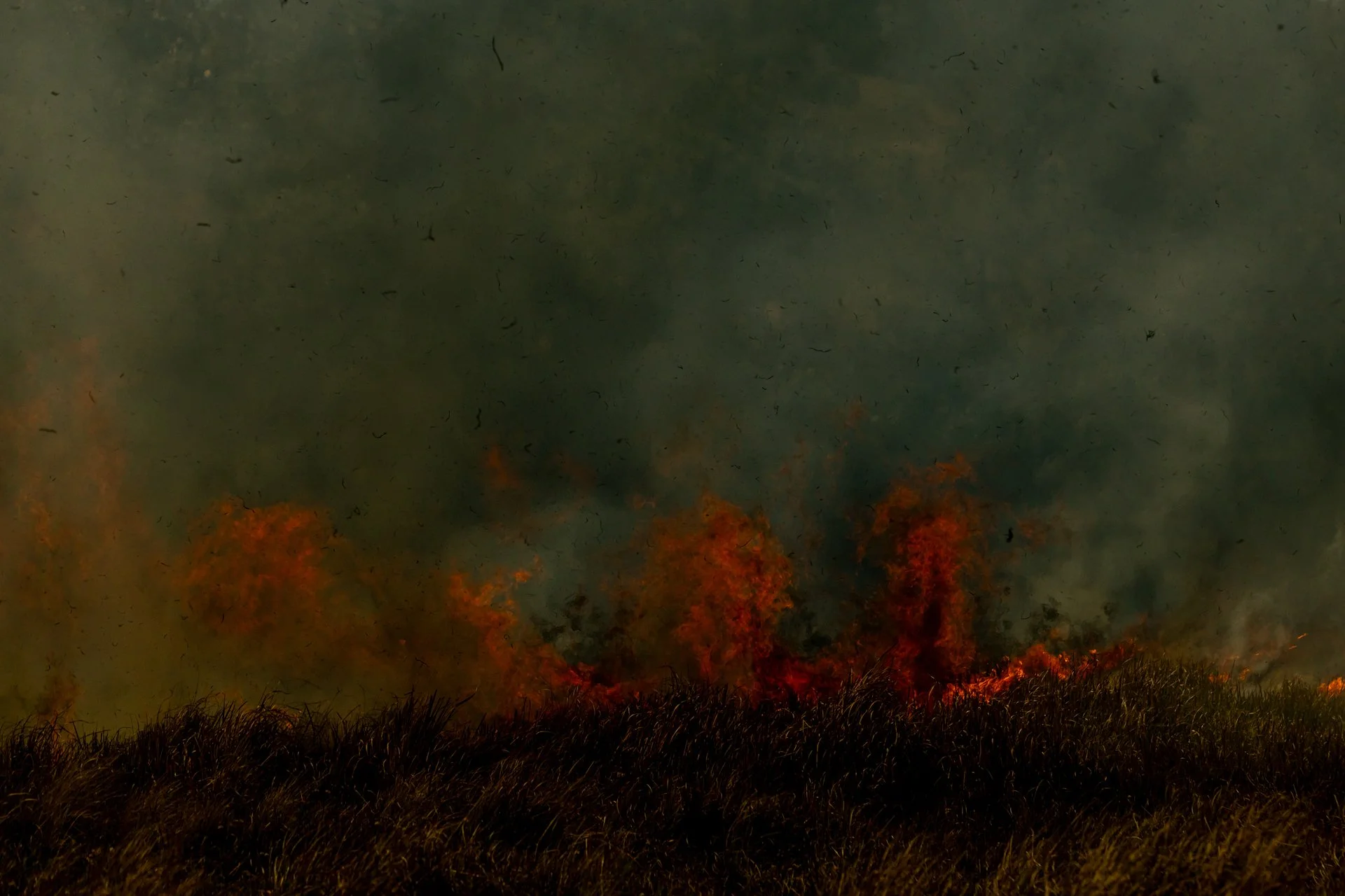 Fire Scars_Renae Saxby Exhibition-0988.jpg