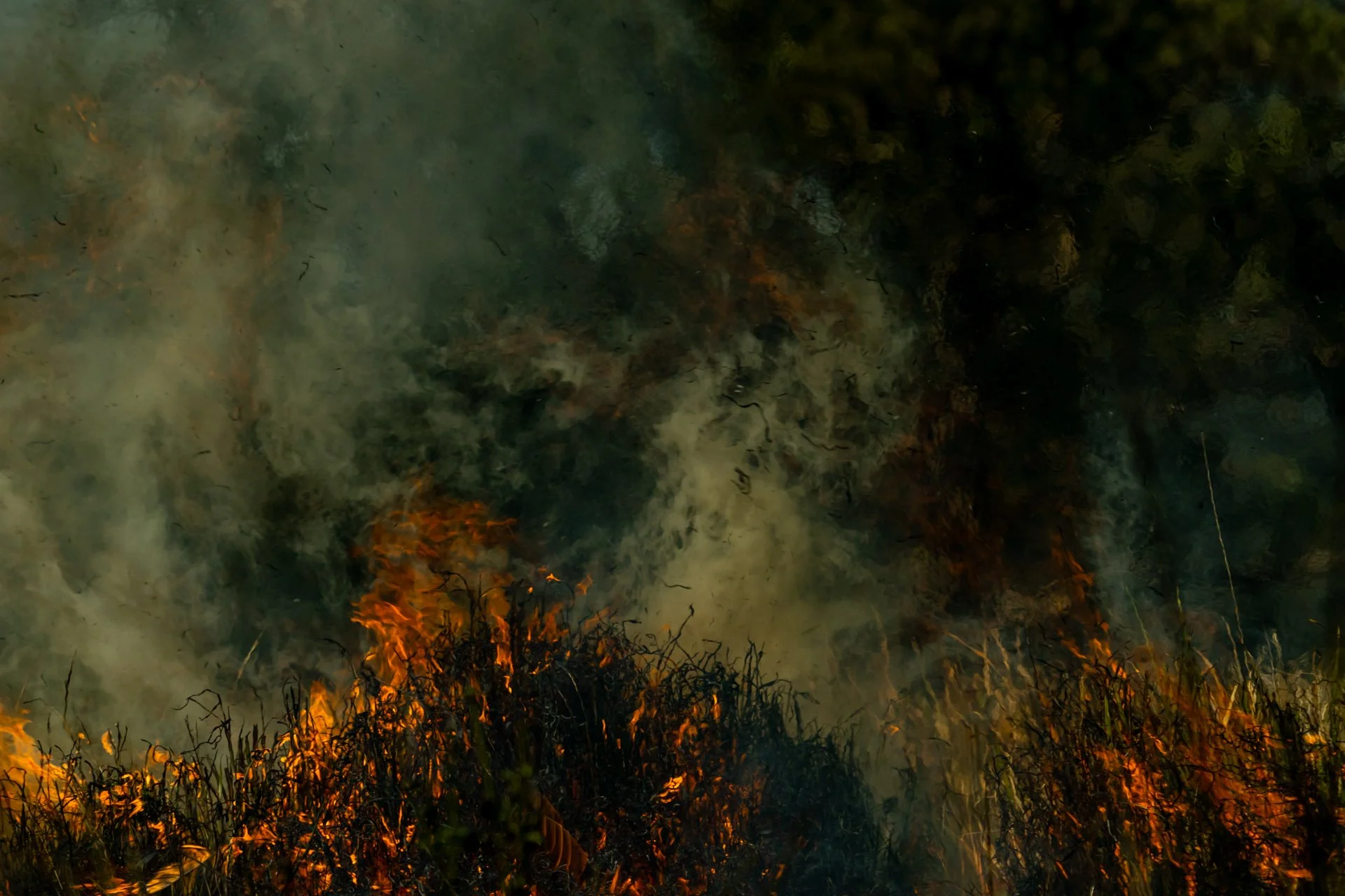 Fire Scars_Renae Saxby Exhibition-0879.jpg