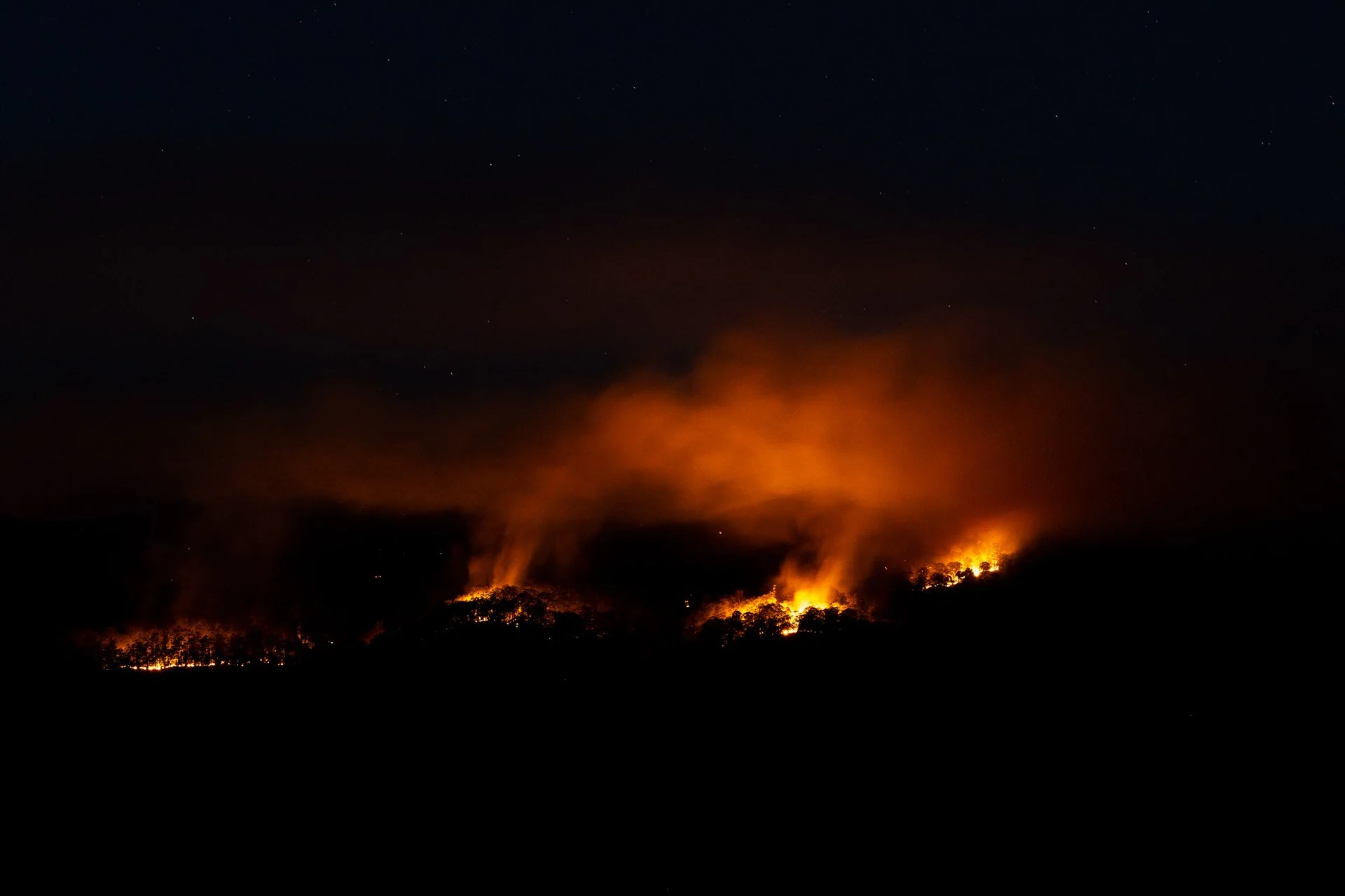 Fire Scars_Renae Saxby Exhibition-5579.jpg