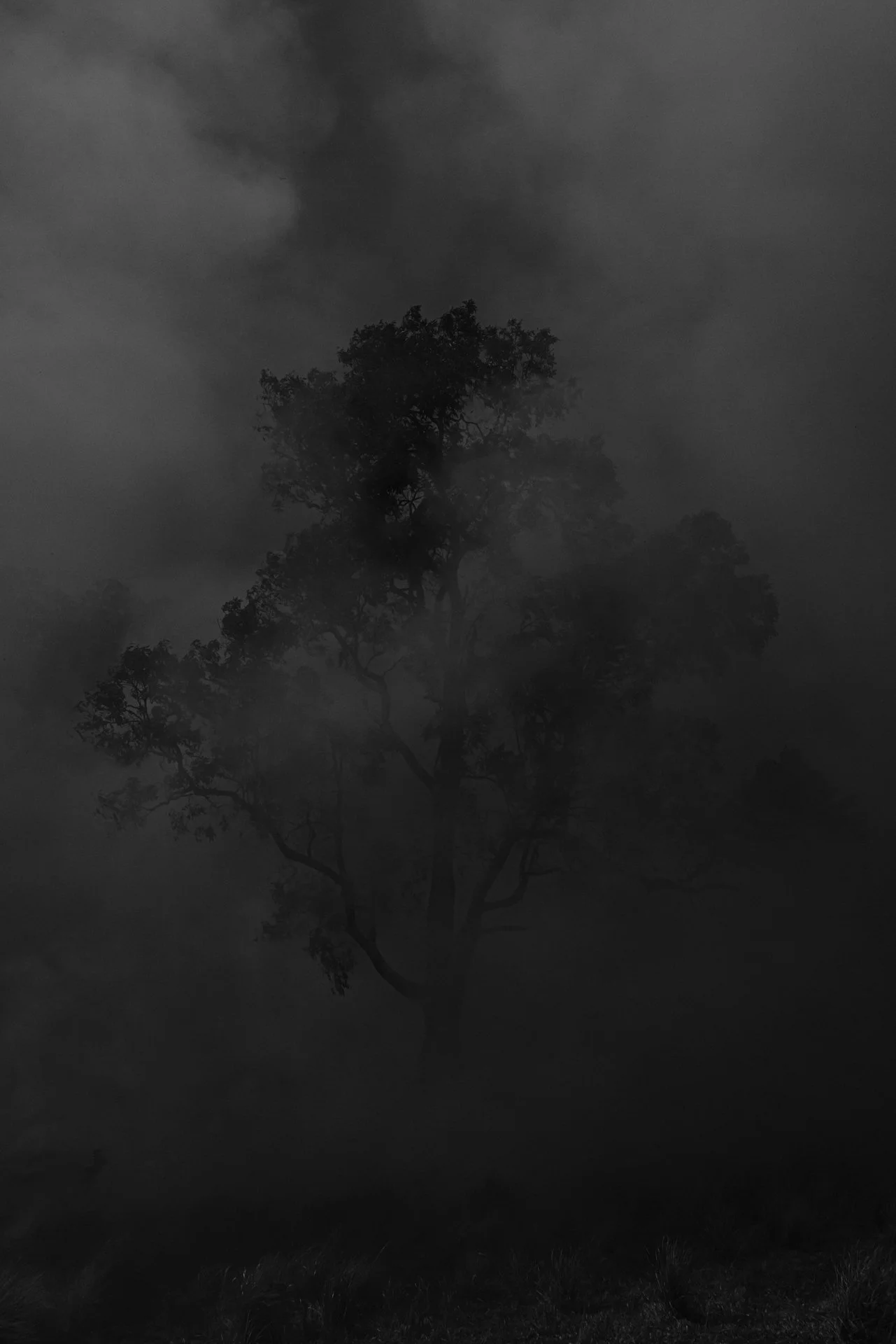 Fire Scars_Renae Saxby Exhibition-1236-2.jpg
