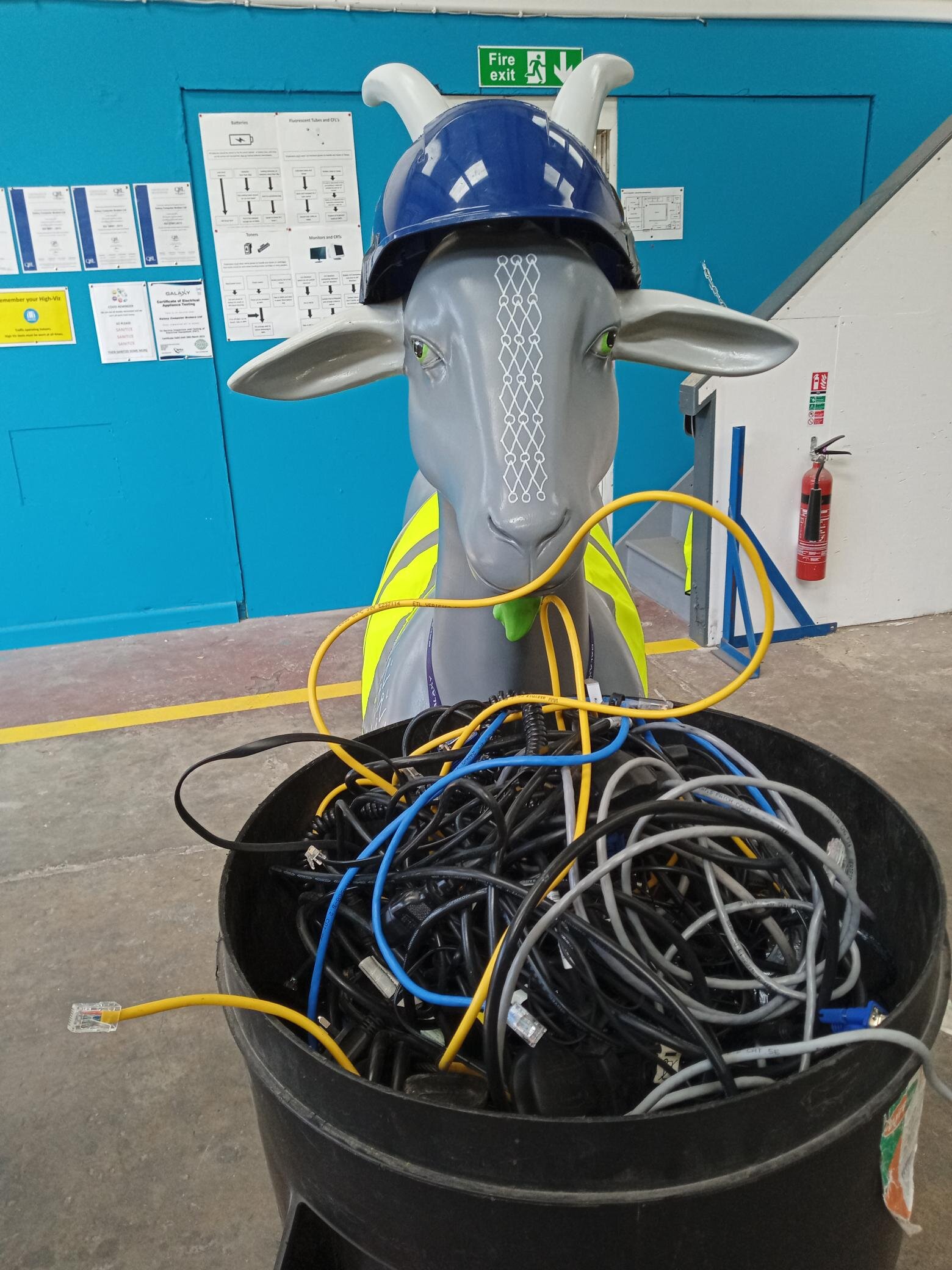 Cable.jpg