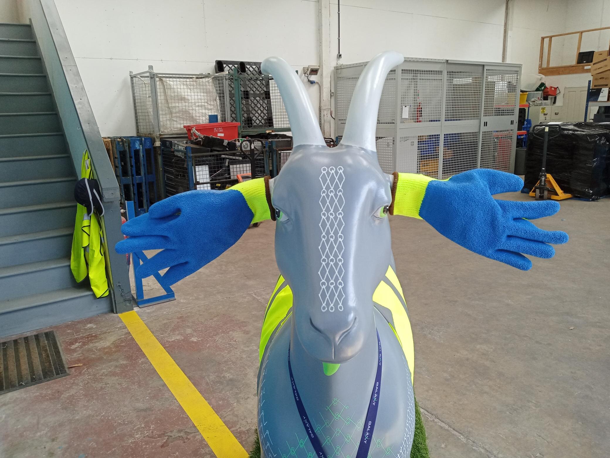 Gloves.jpg