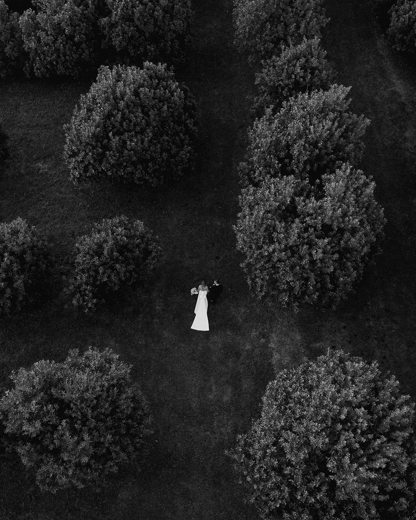 Laneway of love 🍃🕊️