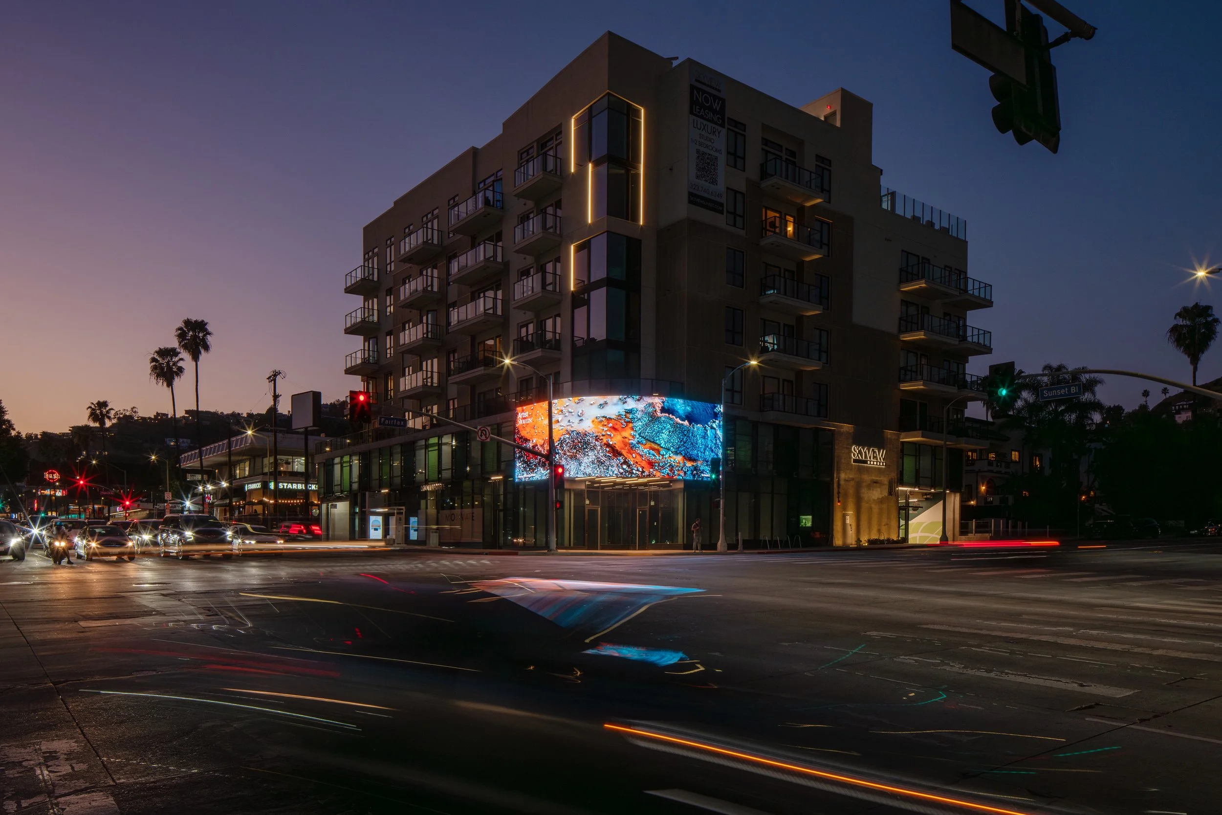 StandardVision Artist Showcase: Luminous Terrain and the Reimagining of Nature with Suzy Poling