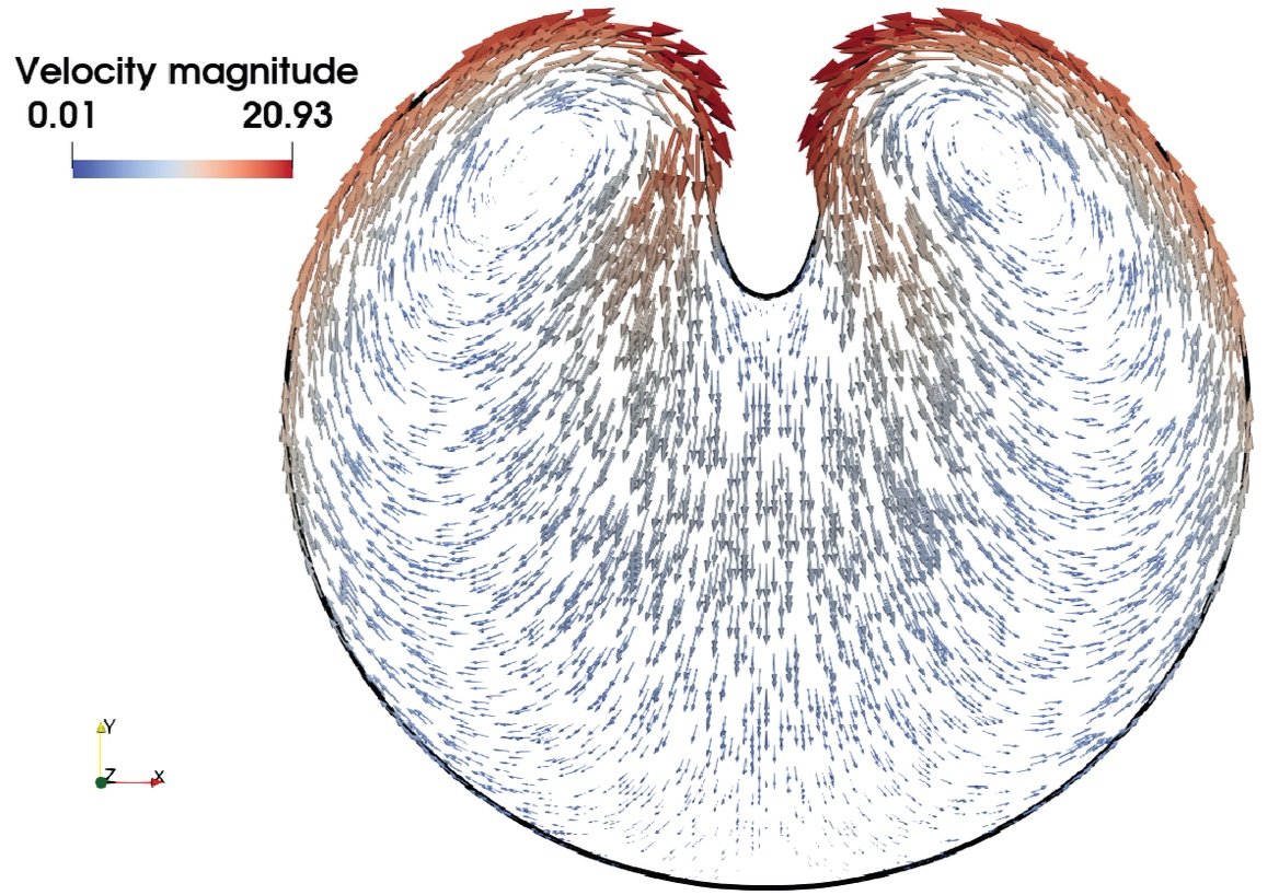 Unfitted finite element modelling of surface-bulk viscous flows in animal cells