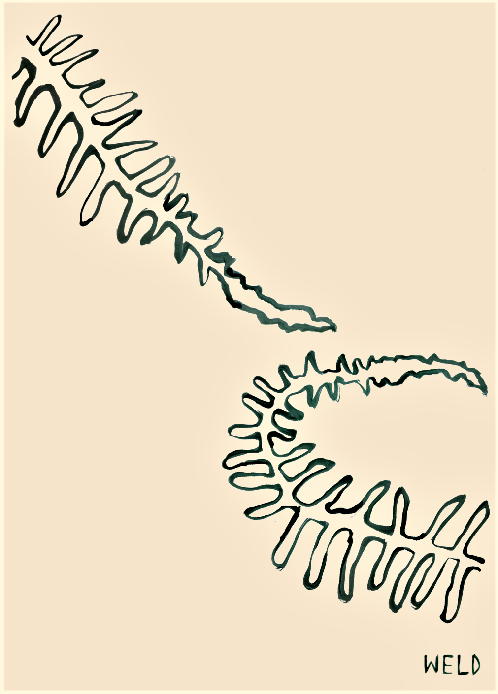 postcard weld.png