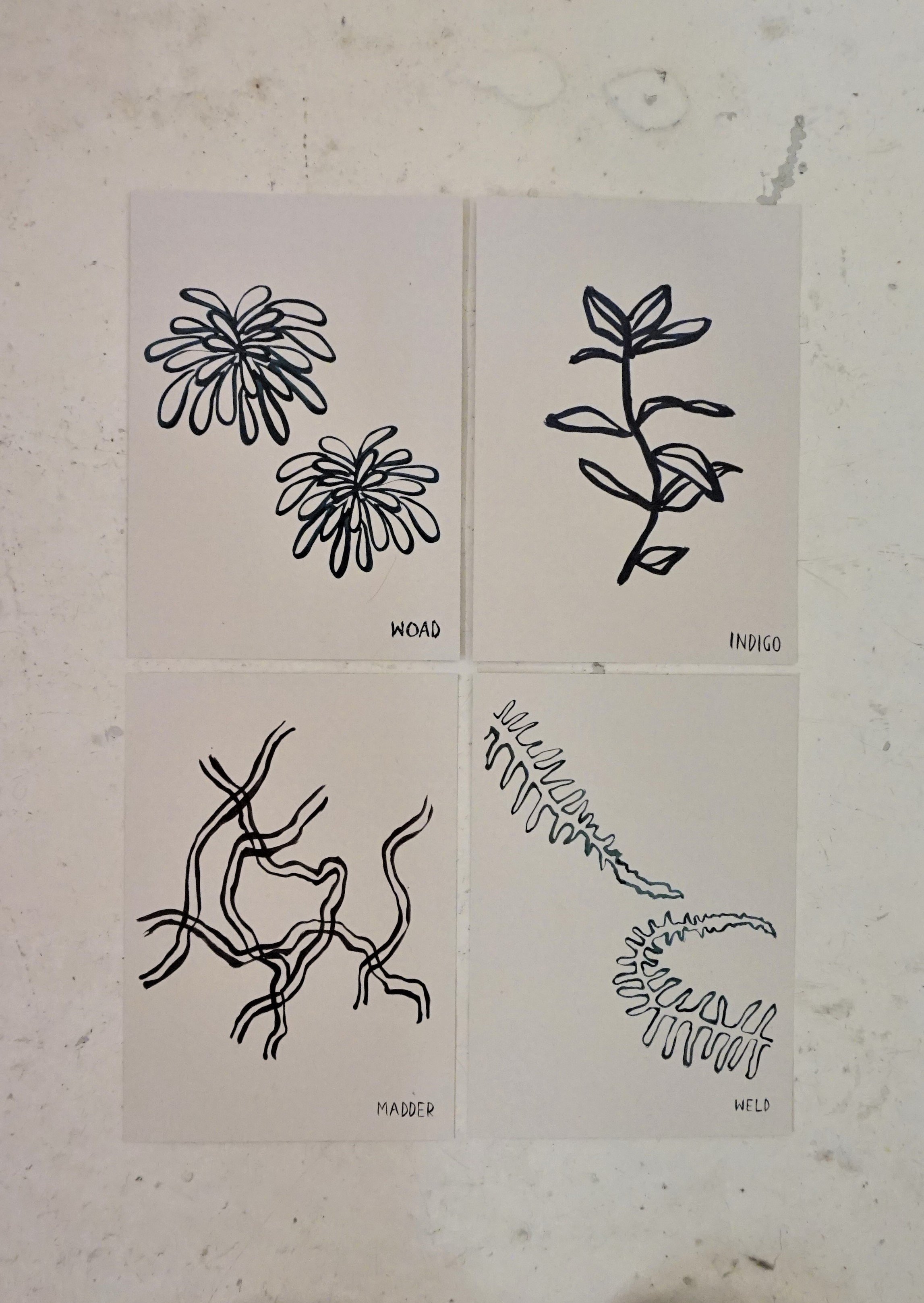 Dye Plant Postcards Set of 4