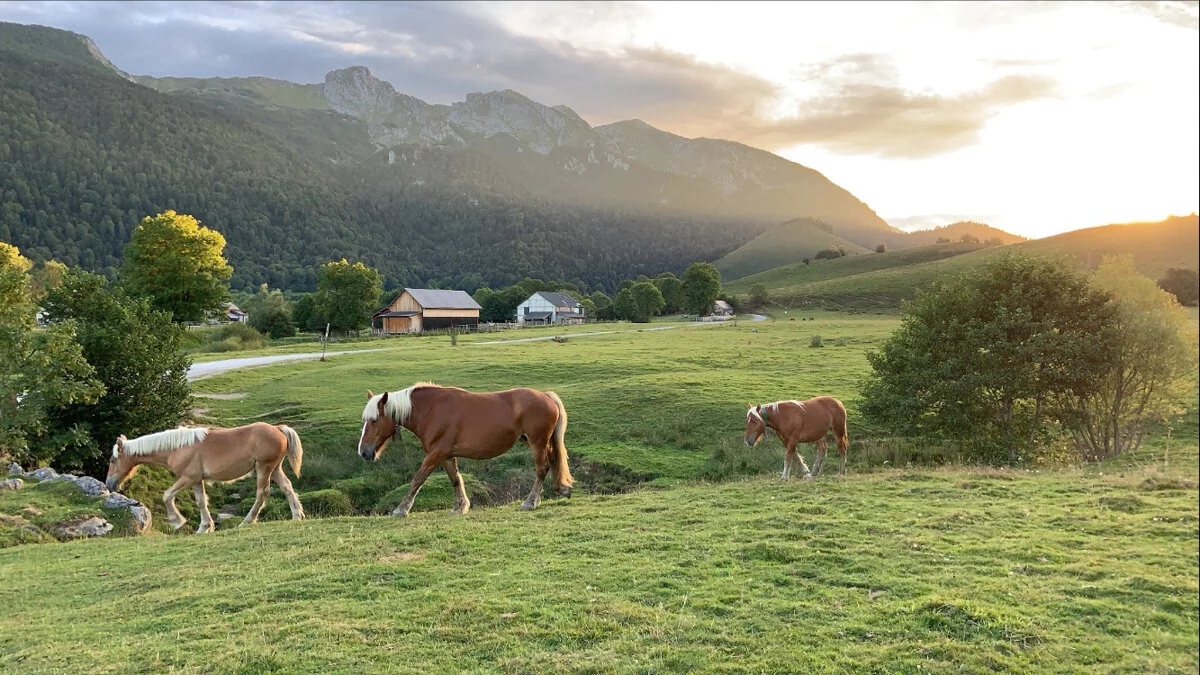 Discovering a magical plateau in the Pyrénées