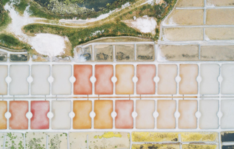 Screen Shot 2021-05-30 at 9.20.56 PM.png