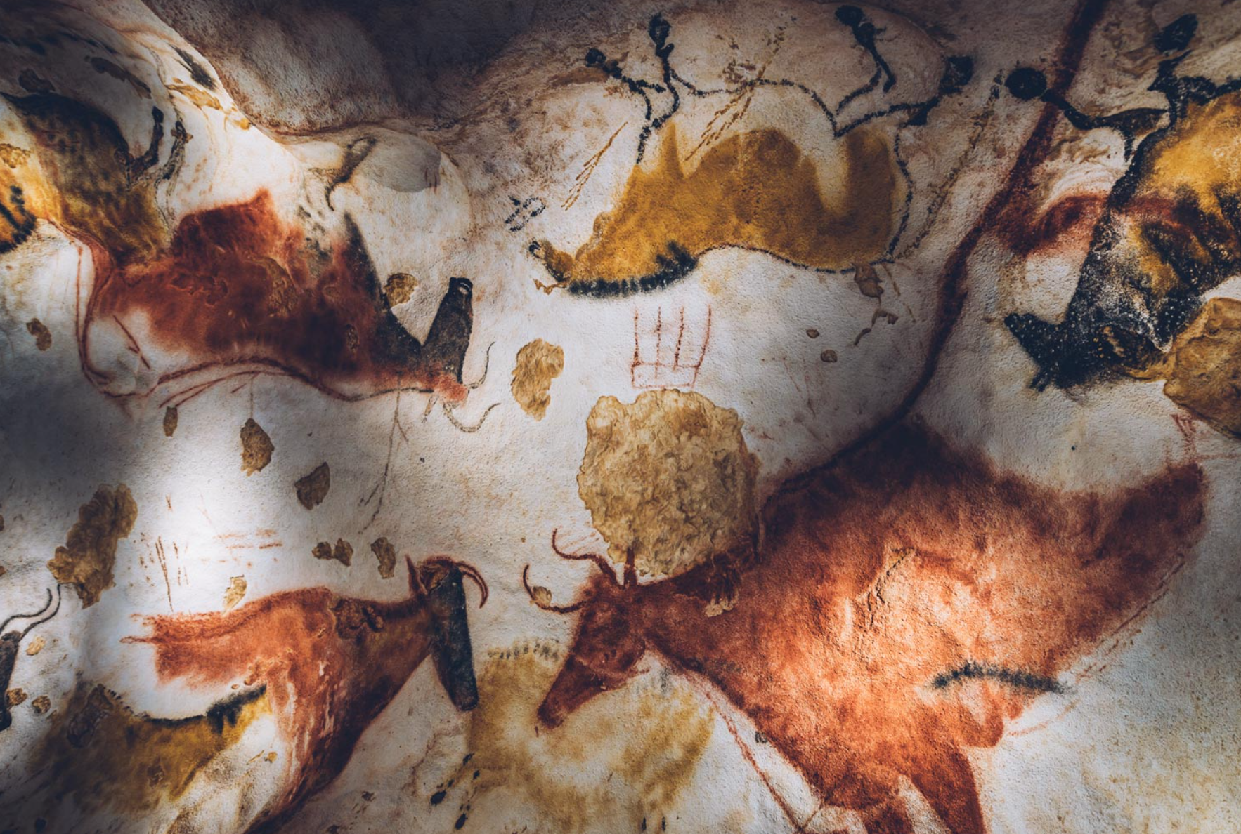 Screen Shot 2021-05-31 at 12.28.53 PM.png