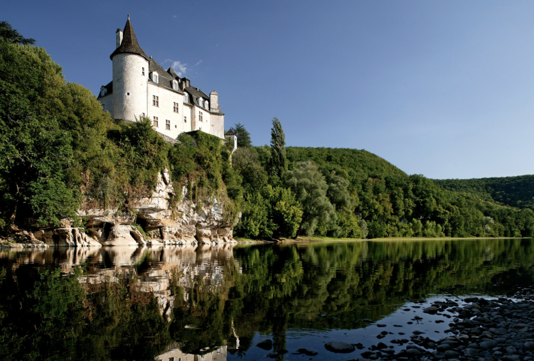 Screen Shot 2021-09-02 at 3.20.16 PM.png