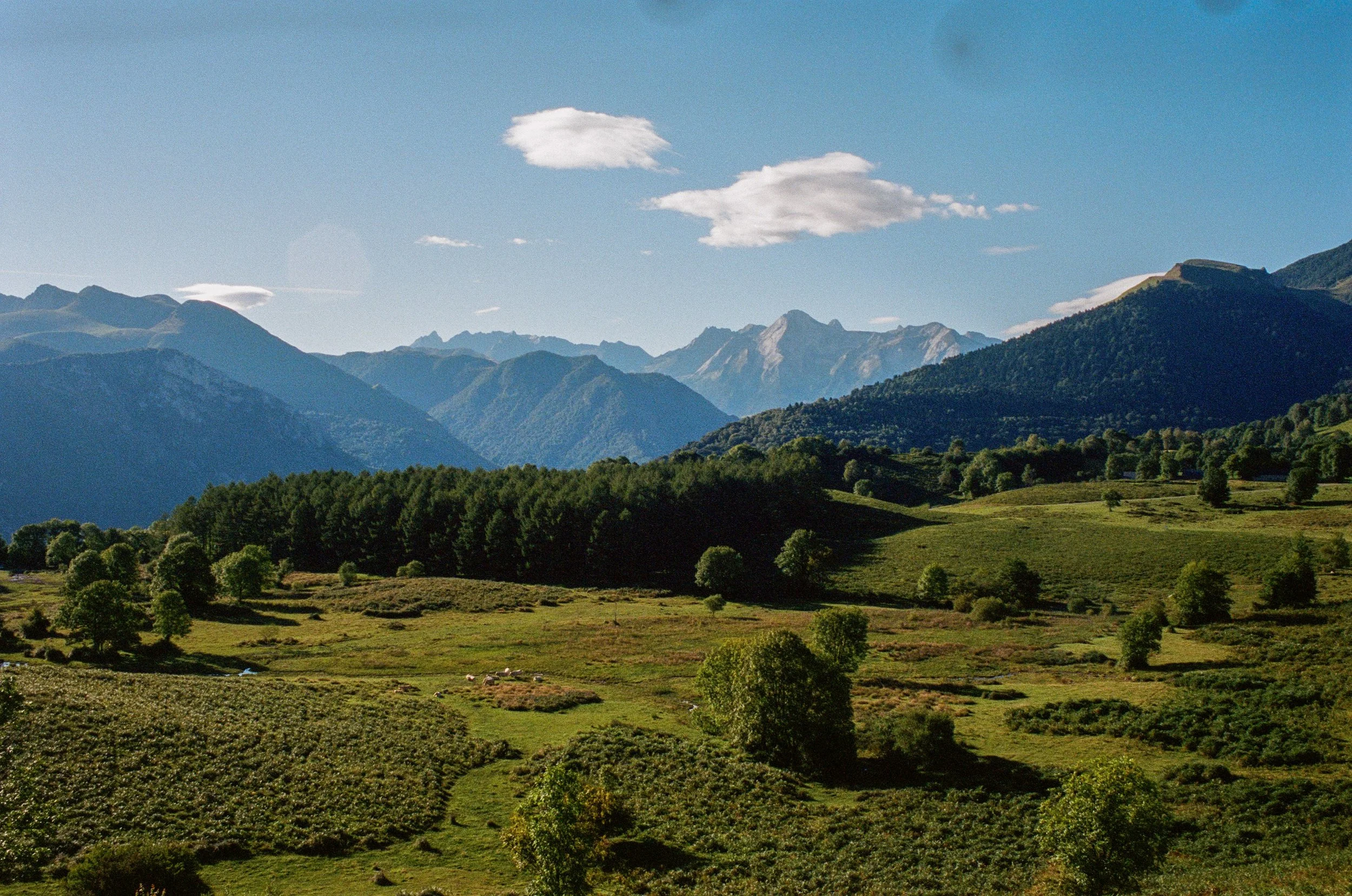 Pyrenees road trip tips - scenic view of green rolling hills with scattered trees in the foreground, dense forested area in the midground, and rugged mountains in the background under a blue sky with a few white clouds.