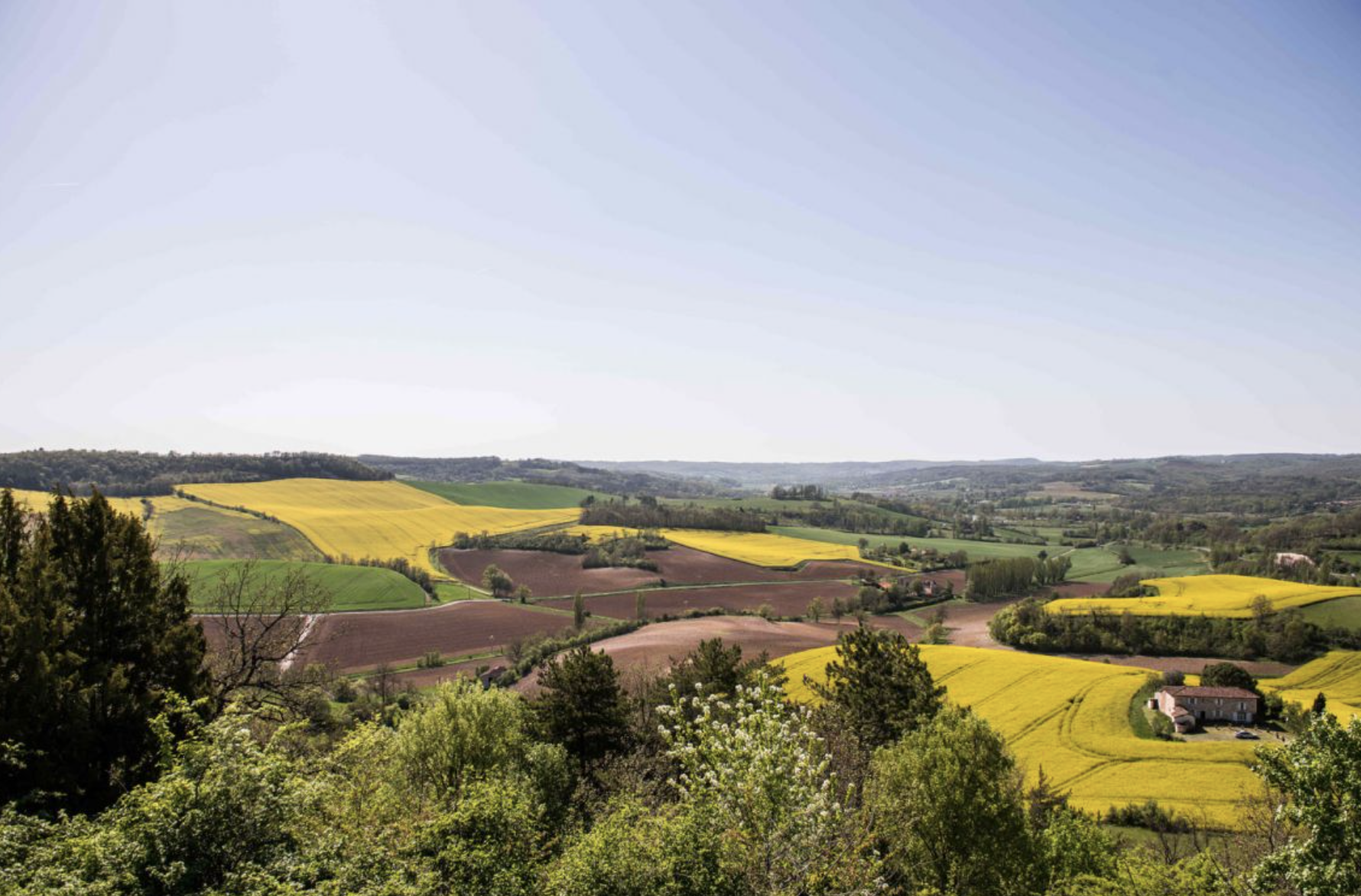 Discover the Tarn region, the Tuscany of France - Scenic view of rolling hills with colorful fields of yellow, green, and brown, some trees, and a distant house in the countryside under a clear sky.