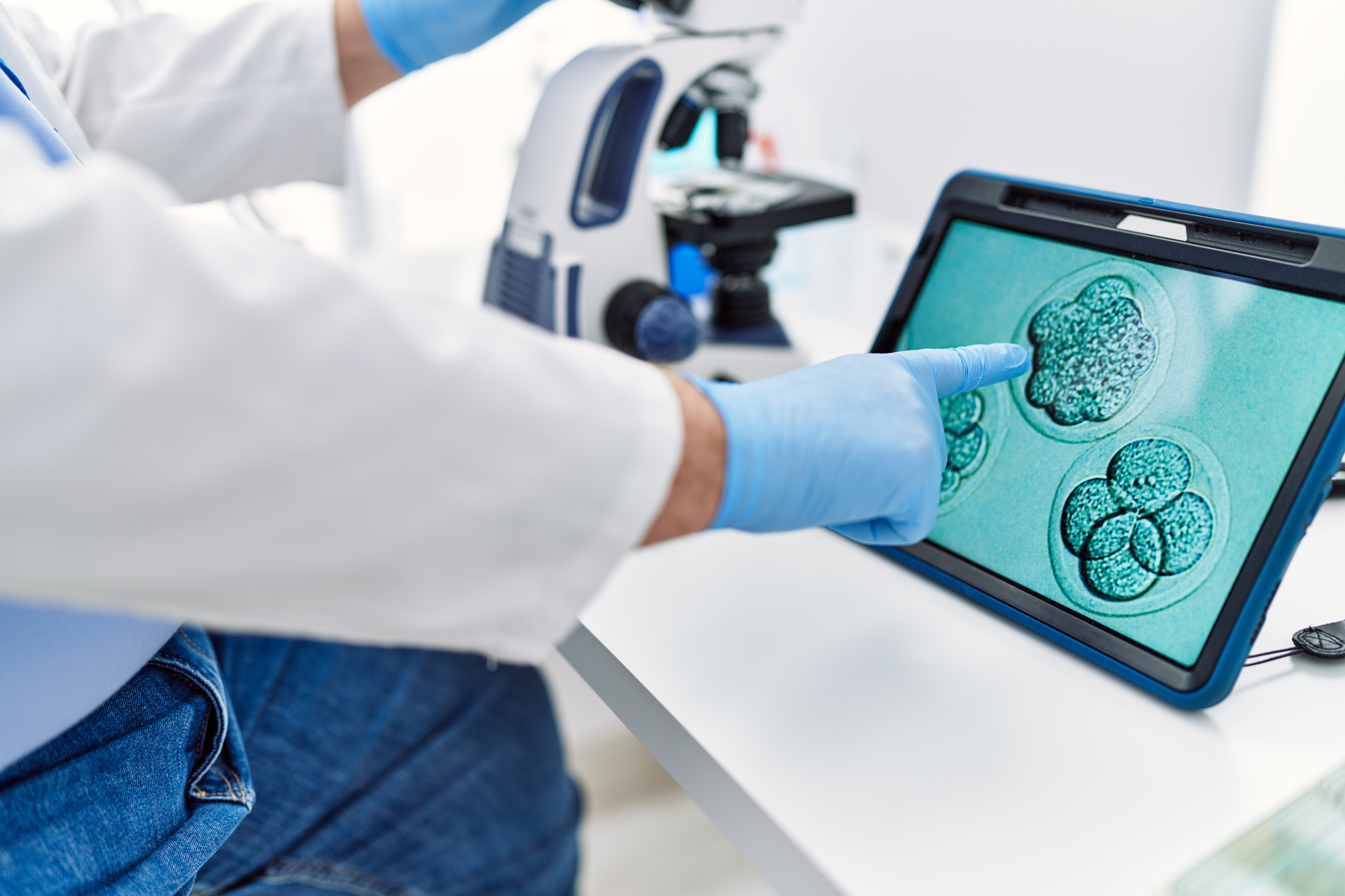 IVF & Embryotransfer: Was beim großen Moment zählt — Miriam Freudenberg ...