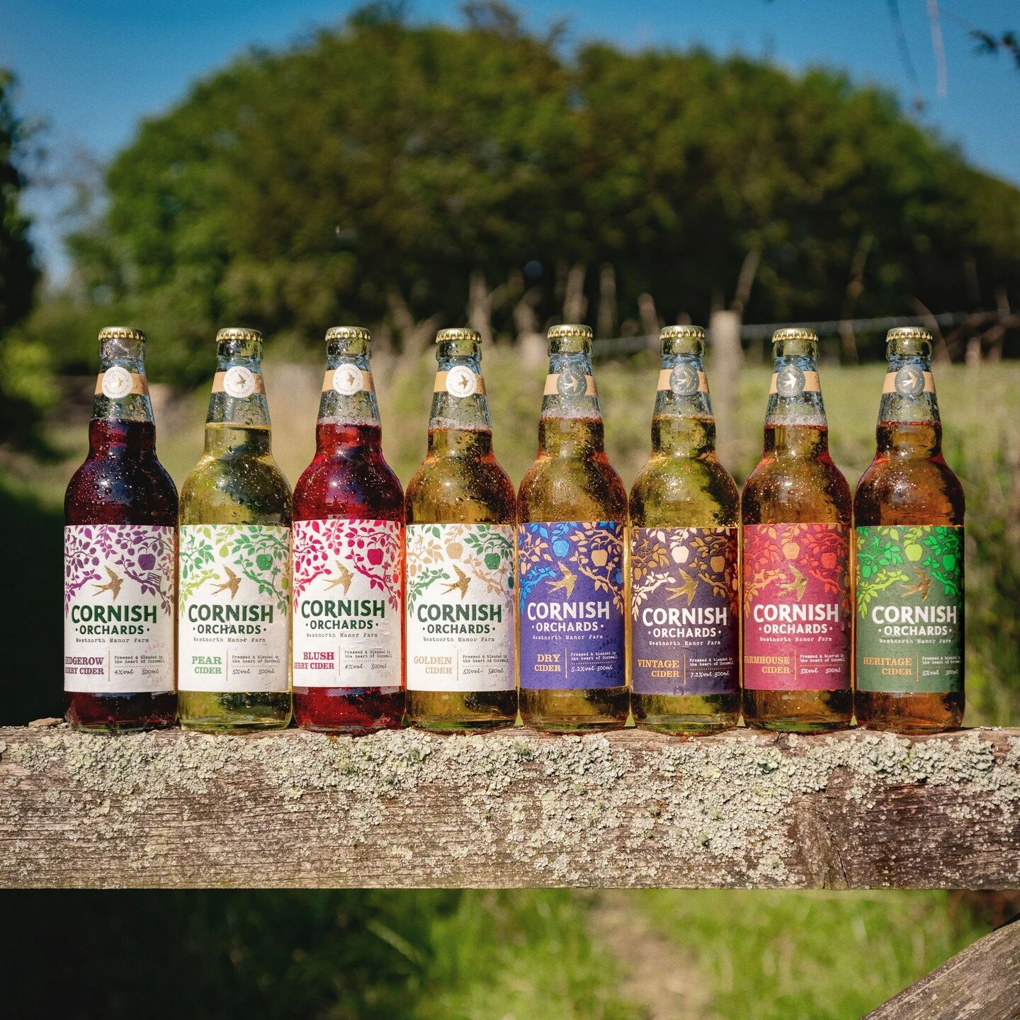 Some summery photos from the @cornishorchards Cider packaging project. Commissioned, art directed and designed by @outlaw_collective and thanks to @theartworks_inc.
I had a lot of fun working on this project - in case you missed it, you can scrolll
