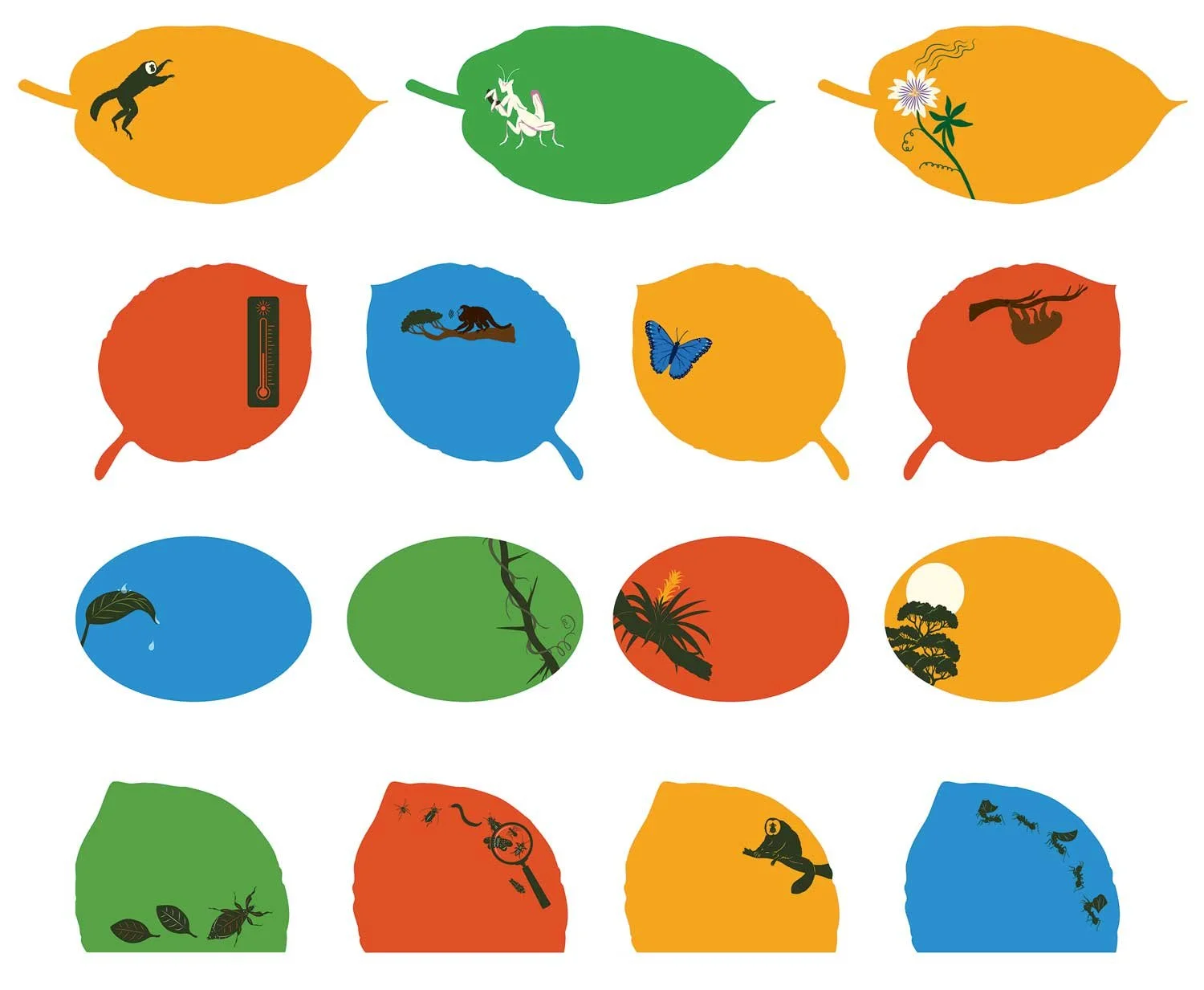 laura-barrett-illlustration-dublin-zoo-infographic.jpg