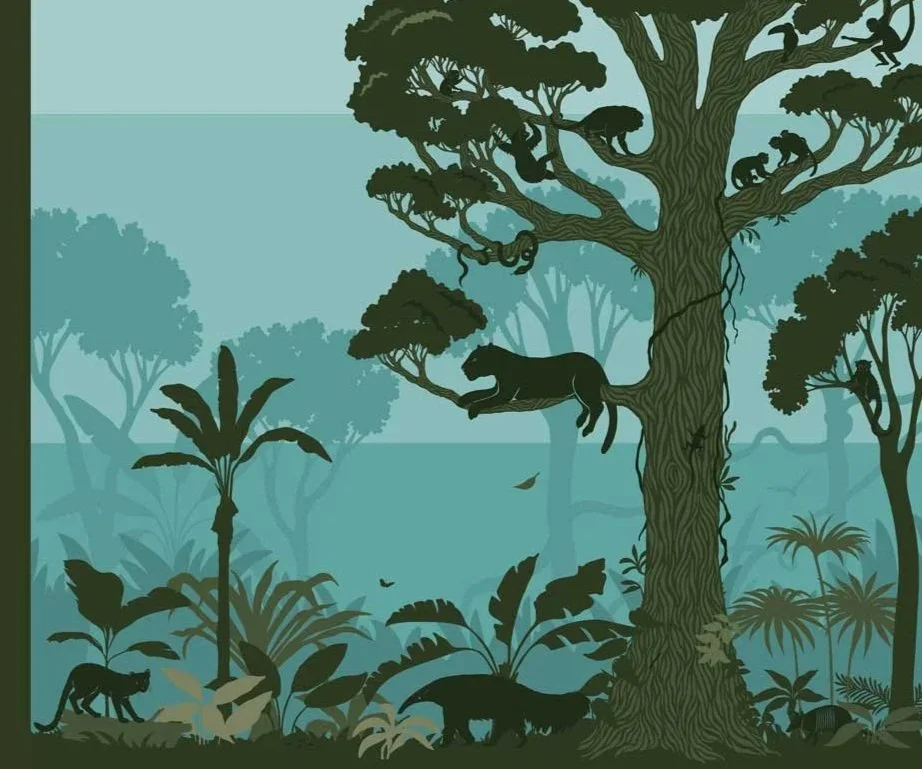 laura-barrett-illlustration-dublin-zoo-rainforest-layers.jpg